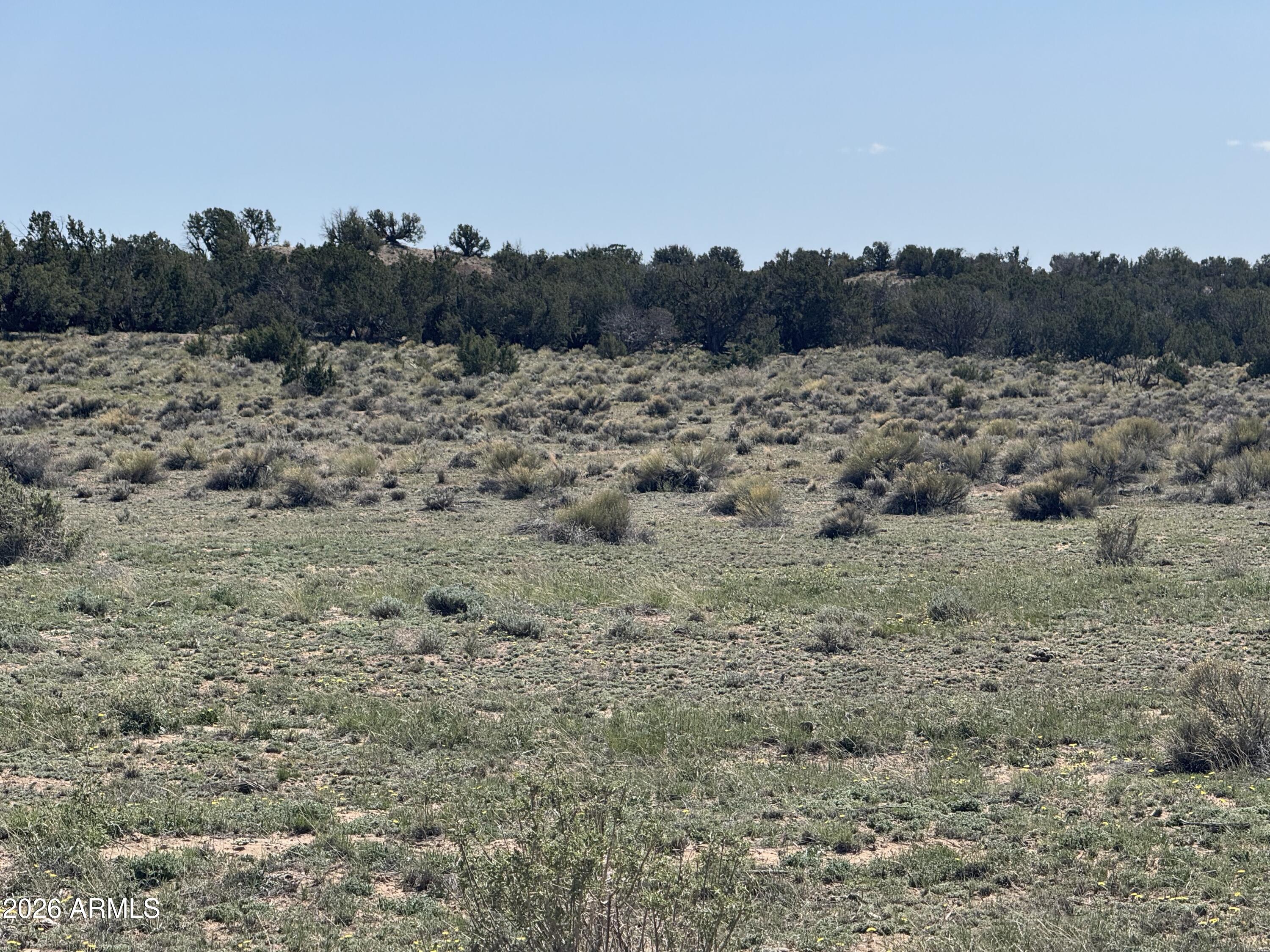 WOODLAND VALLEY RANCH UNIT 4 - Land