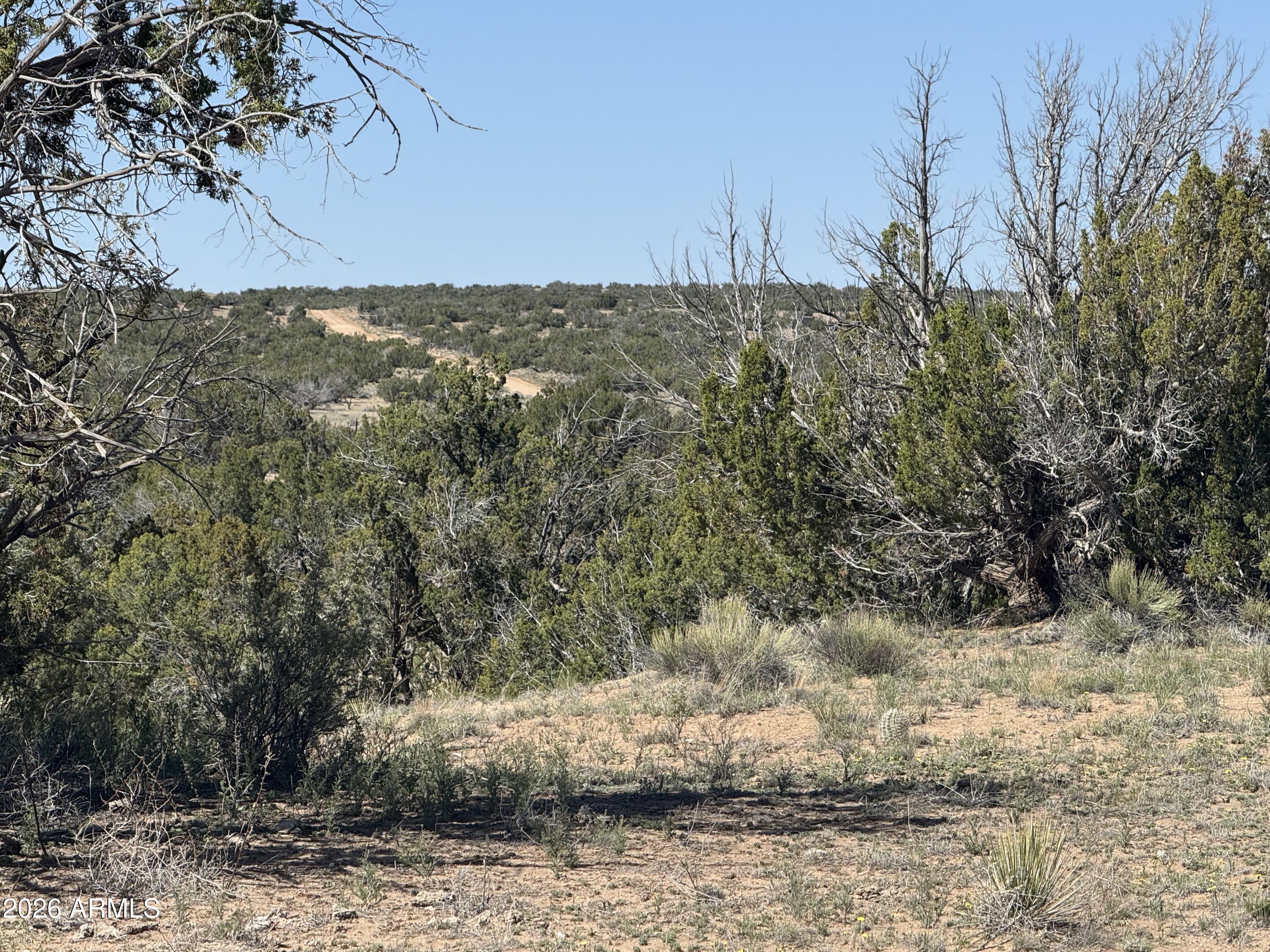 WOODLAND VALLEY RANCH UNIT 4 - Land