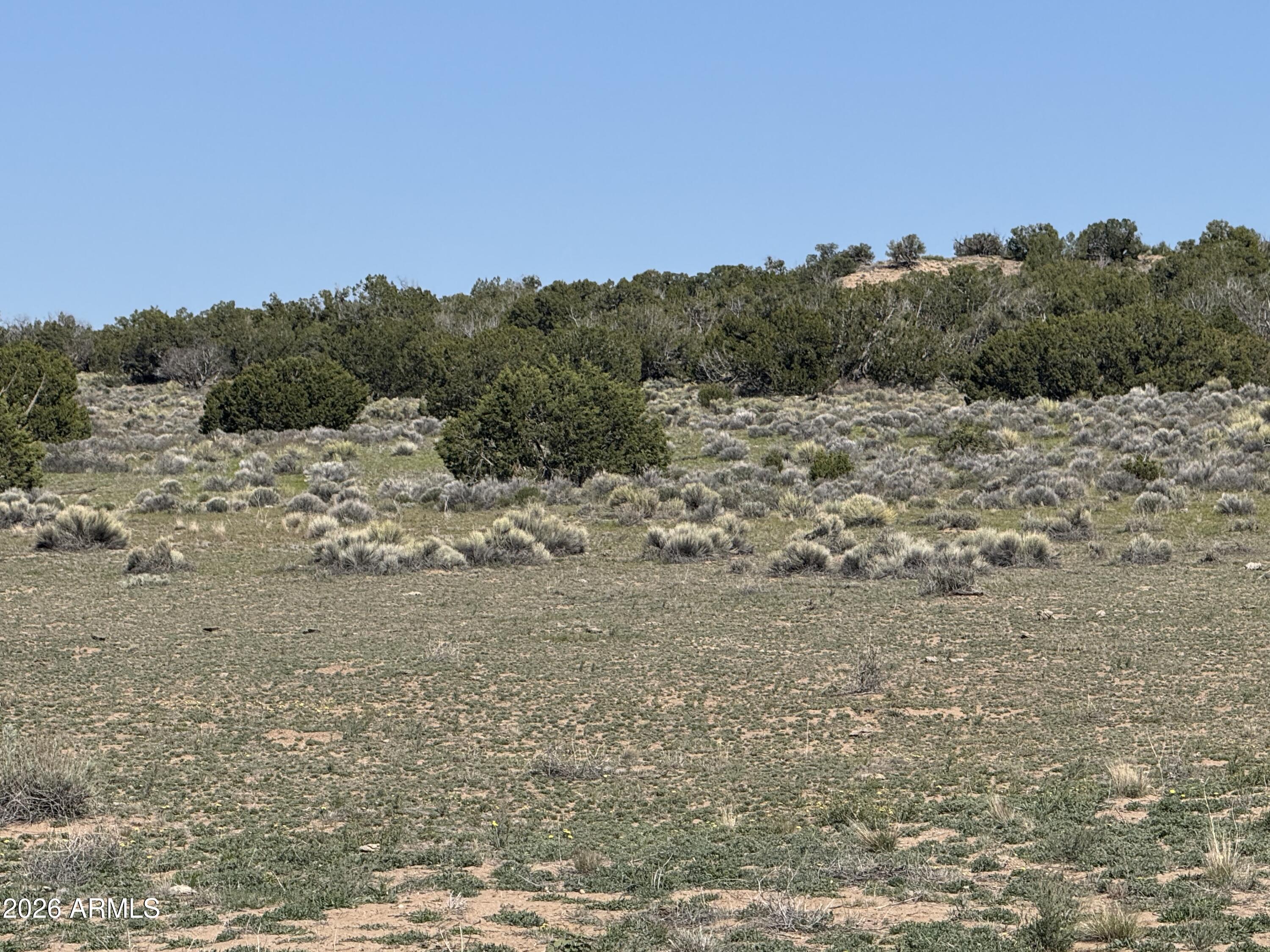 WOODLAND VALLEY RANCH UNIT 4 - Land