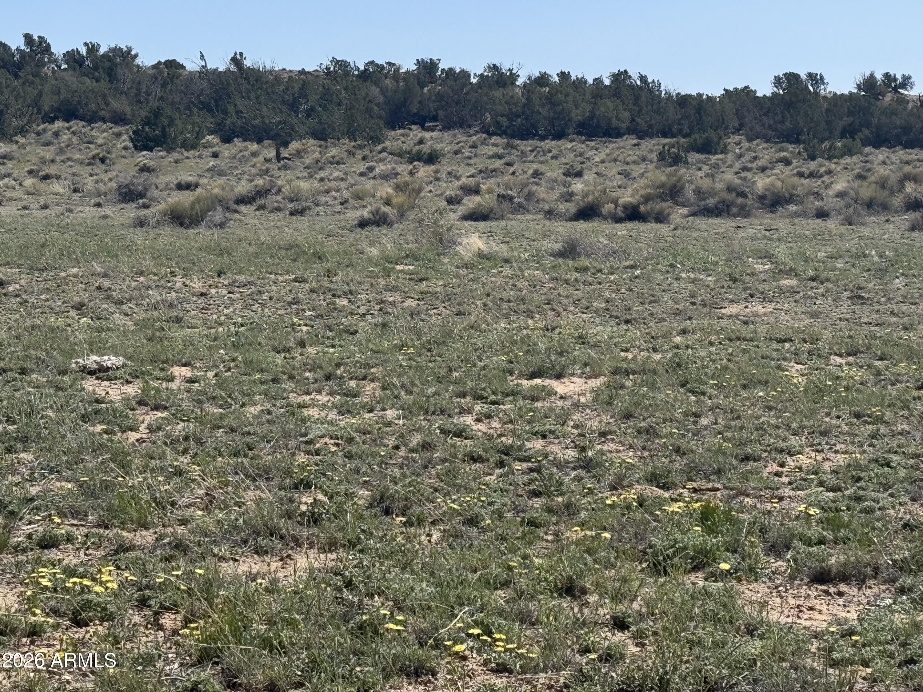 WOODLAND VALLEY RANCH UNIT 4 - Land