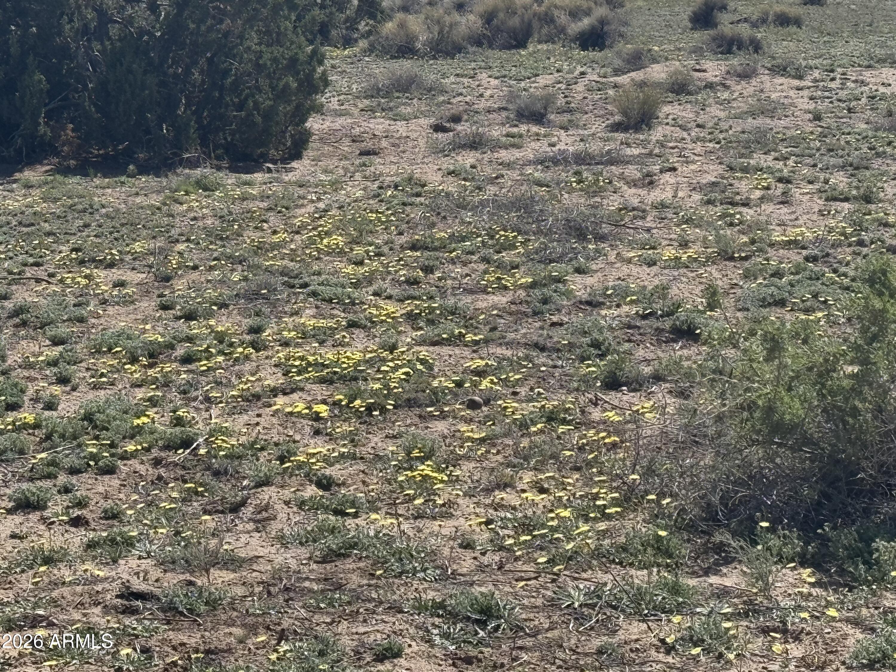 WOODLAND VALLEY RANCH UNIT 4 - Land