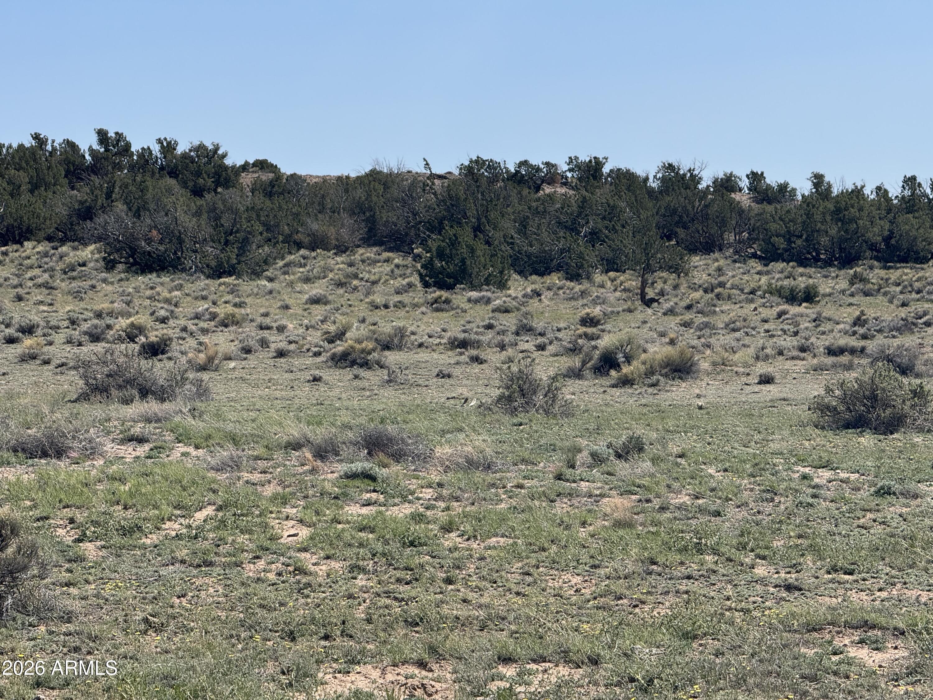 WOODLAND VALLEY RANCH UNIT 4 - Land
