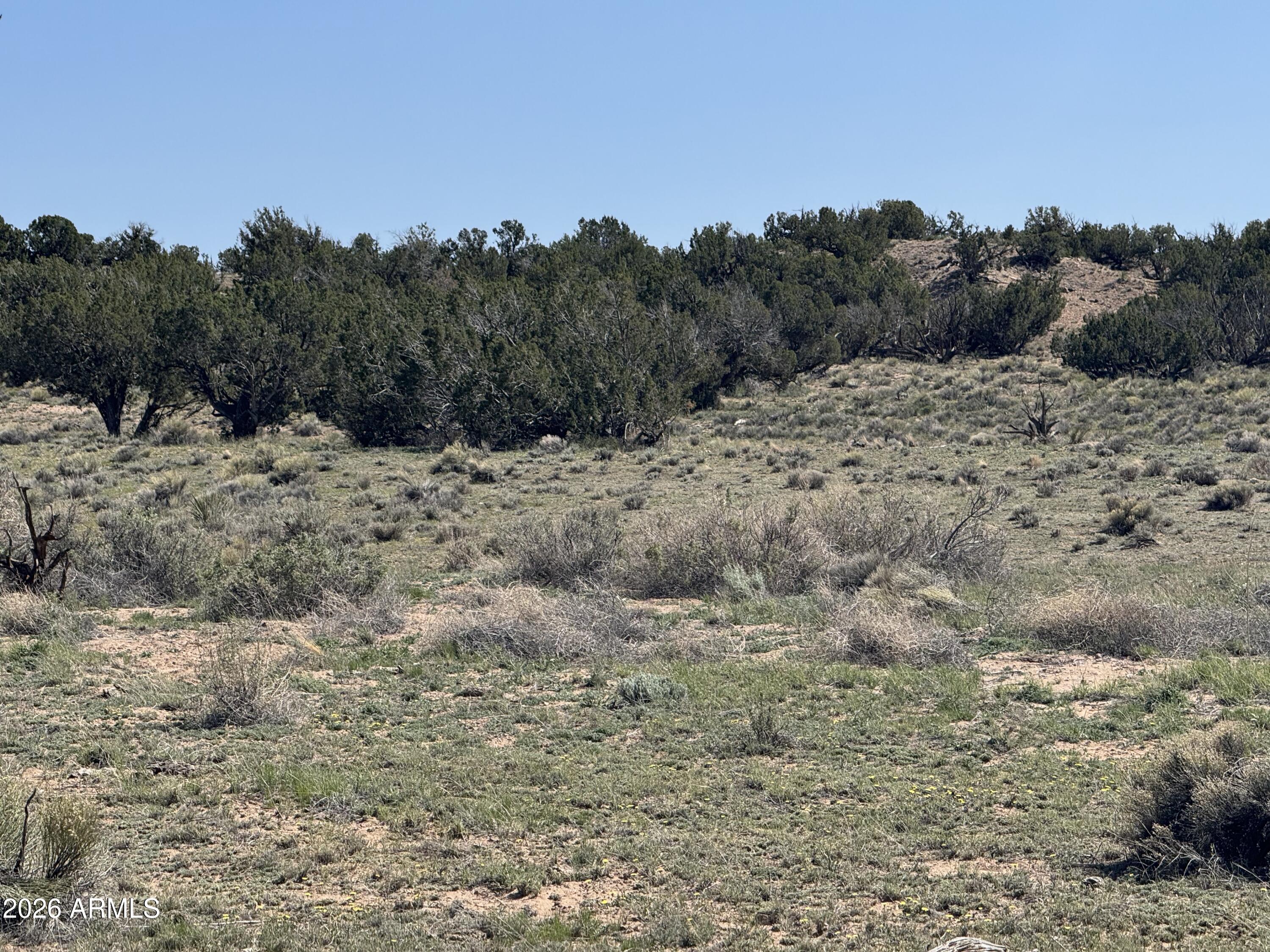 WOODLAND VALLEY RANCH UNIT 4 - Land