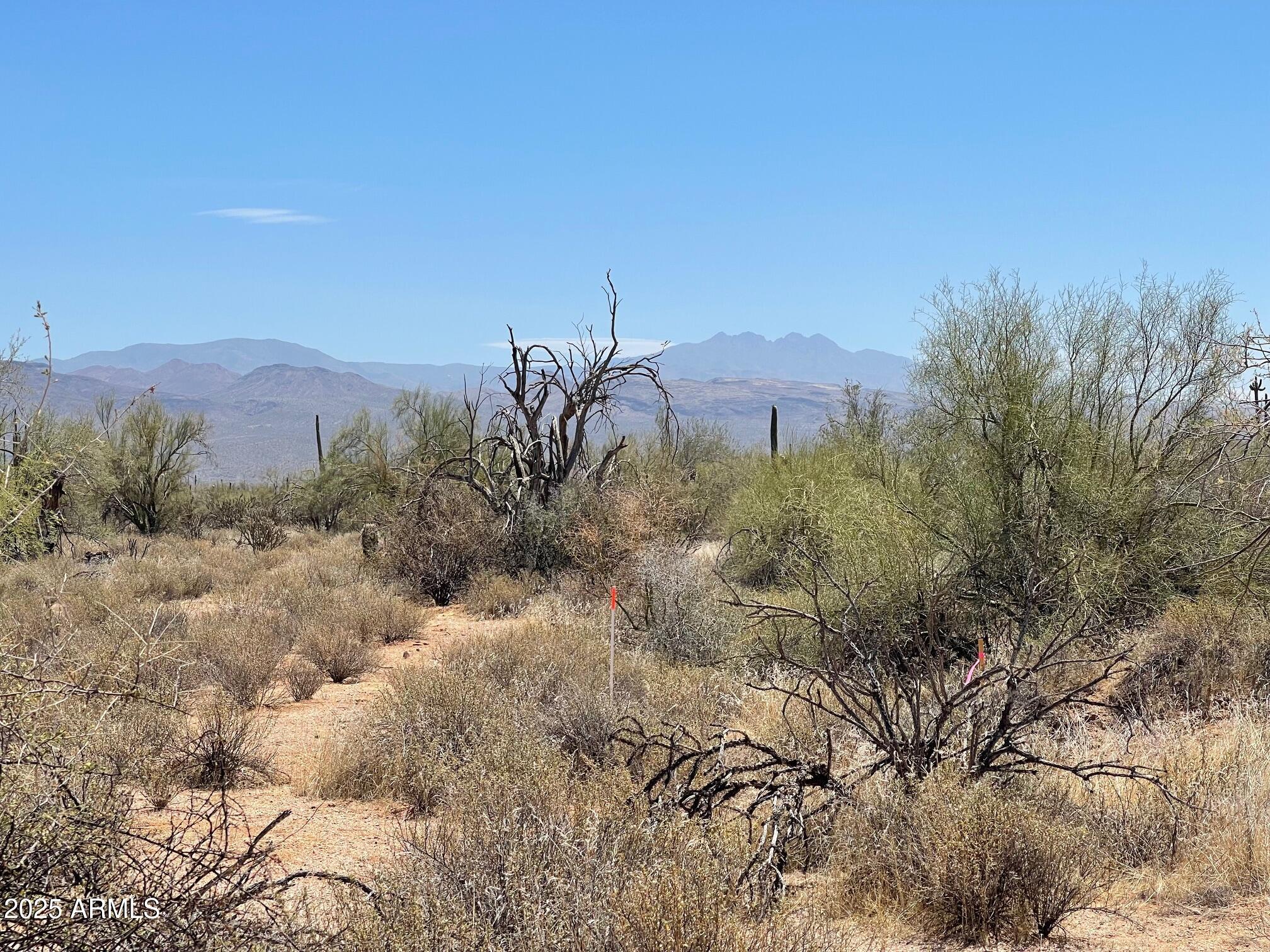 16800 N 168th Street -