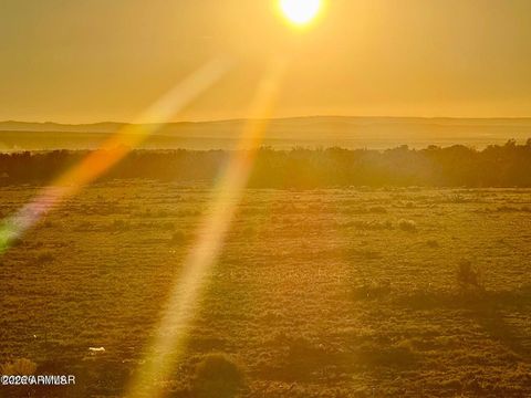 9023 Appaloosa Trl Lot B, 5 Acres -- - Show Low AZ 85901