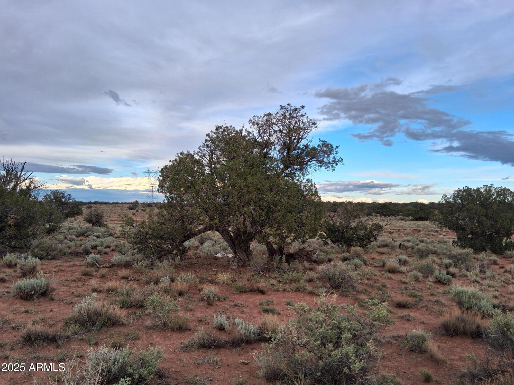 WOODRIDGE RANCH UNIT 8 - Land