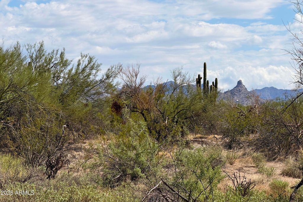 Photo of 31815 N Black Cross Road #28, Scottsdale, AZ 85266 (MLS # 6926685)