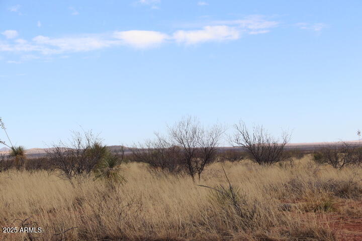 184 Acres W PURDY Lane 1