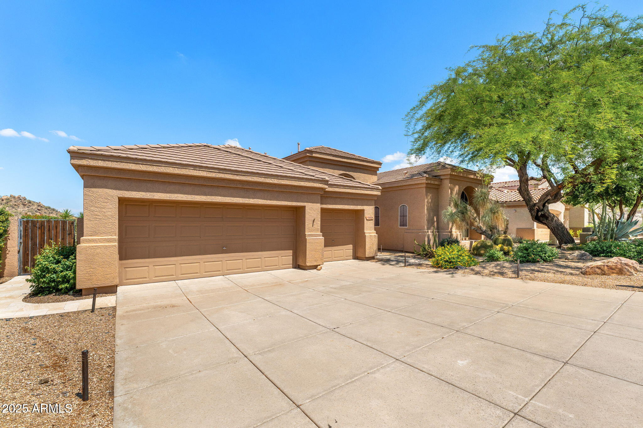 11324 E DIAMOND CHOLLA Drive