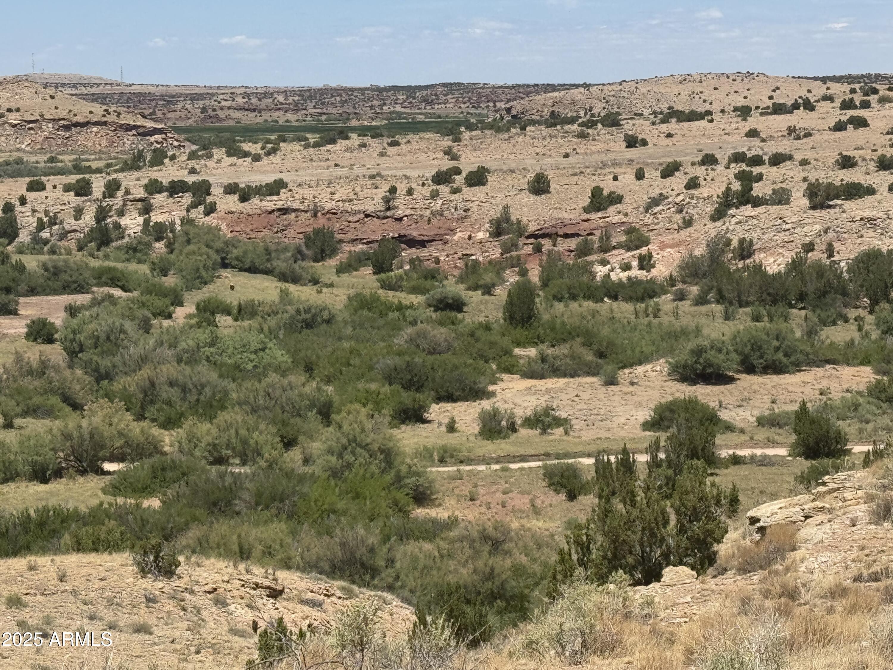 IMG_8712