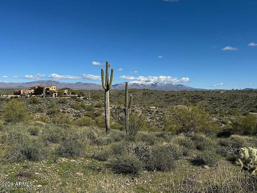 14708 N EL CAMINO DORADO -- 13