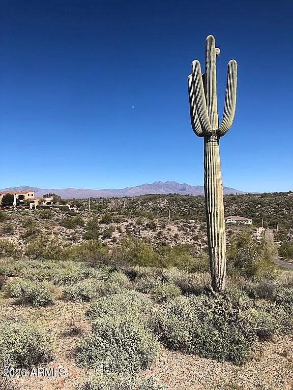 14708 N EL CAMINO DORADO -- 13