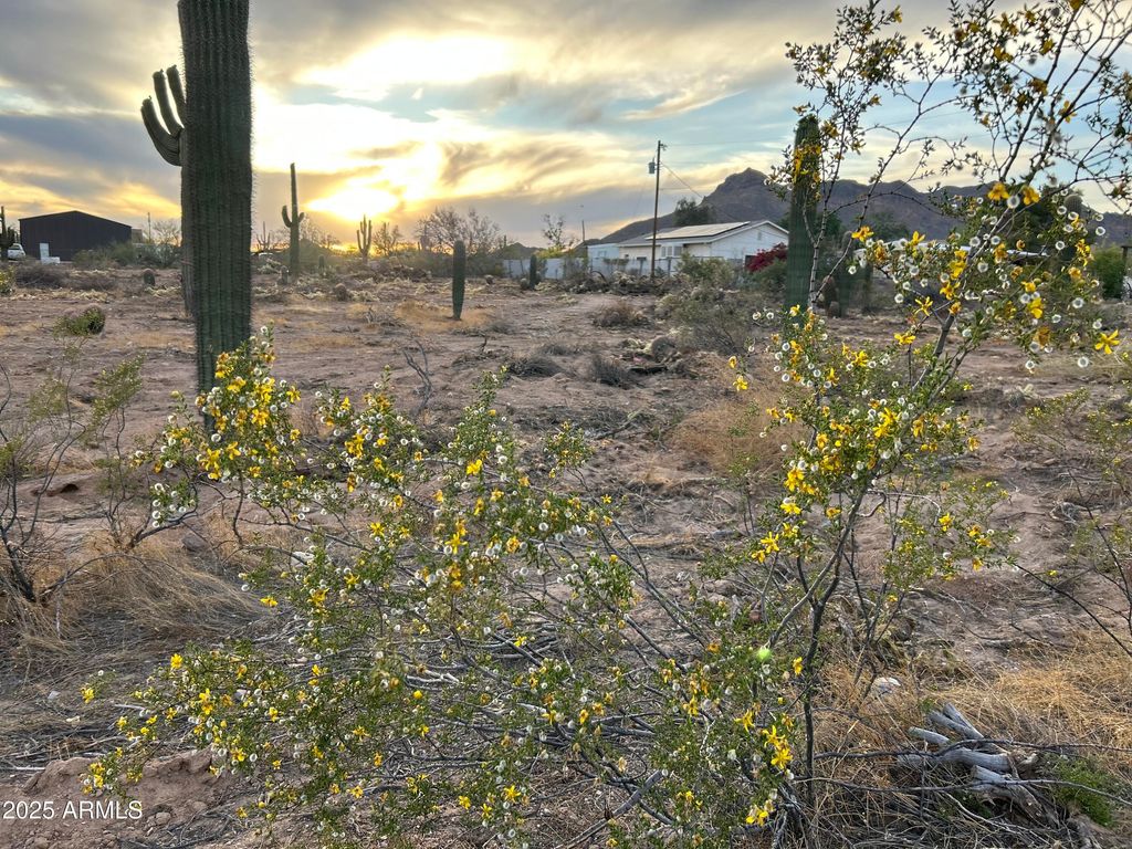 Photo of 0 N Delaware Drive #-, Apache Junction, AZ 85120 (MLS # 6956478)