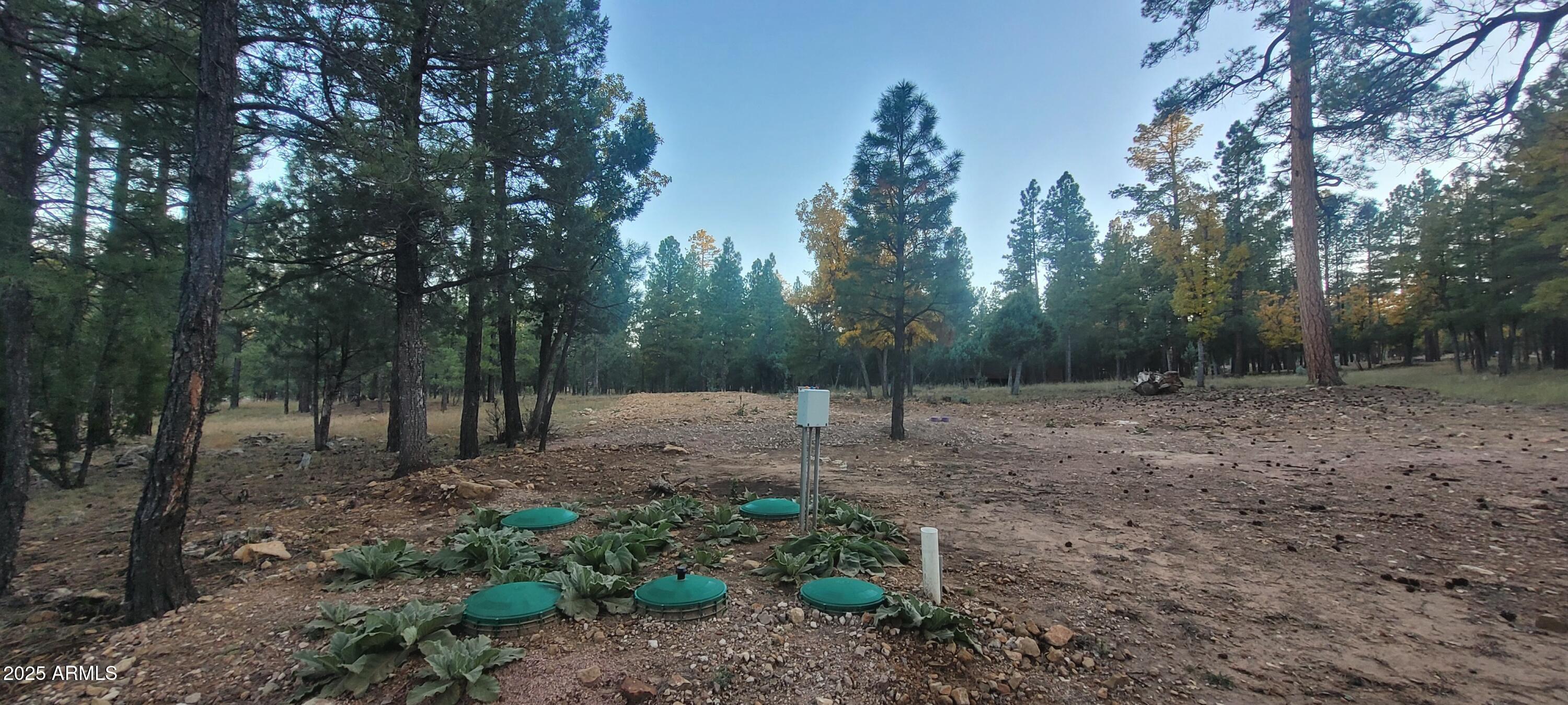 Homes for Sale in Queen Creek Arizona 4 2857 SPARROW Drive 22