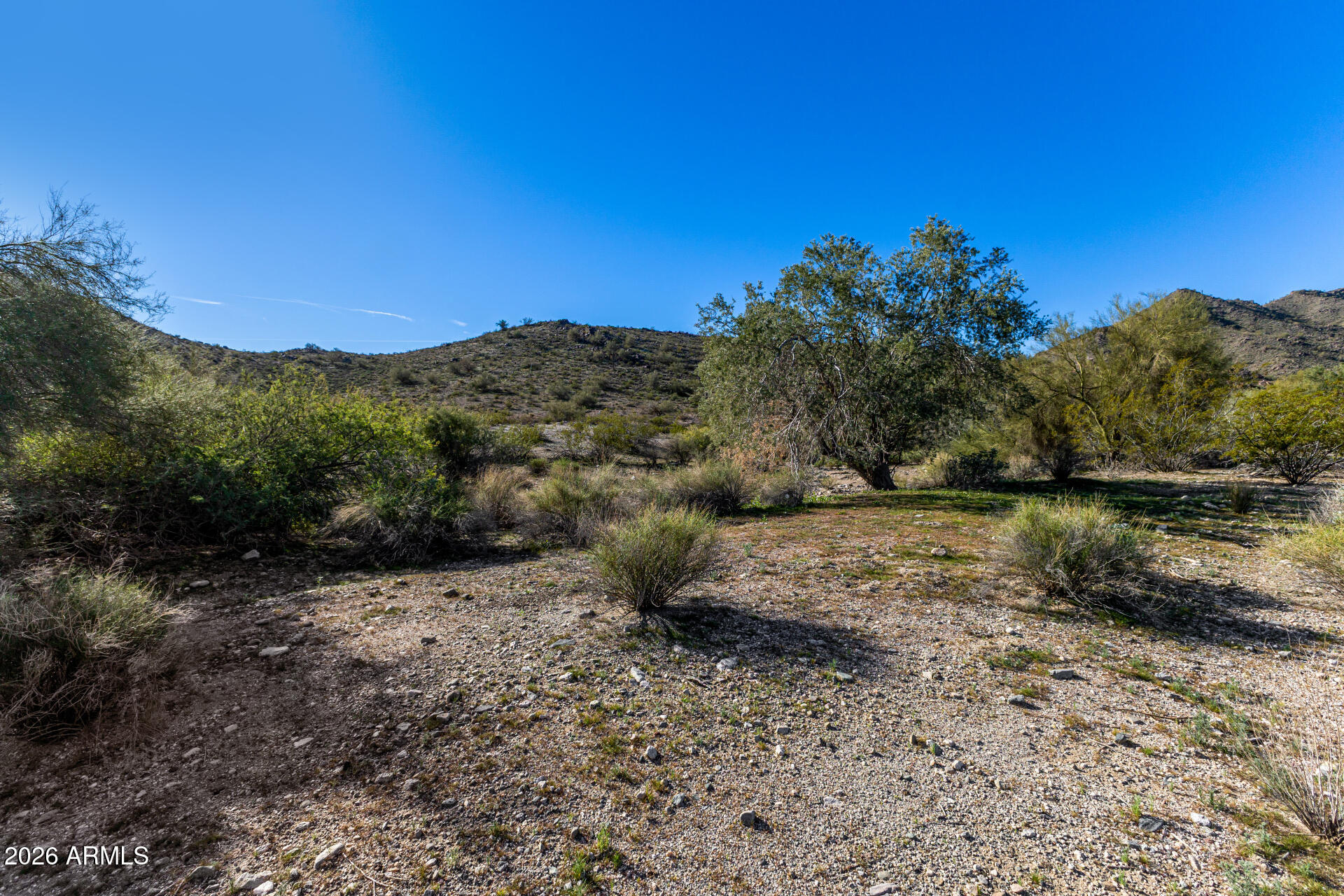 3542 N PEPPER GRASS Way 406