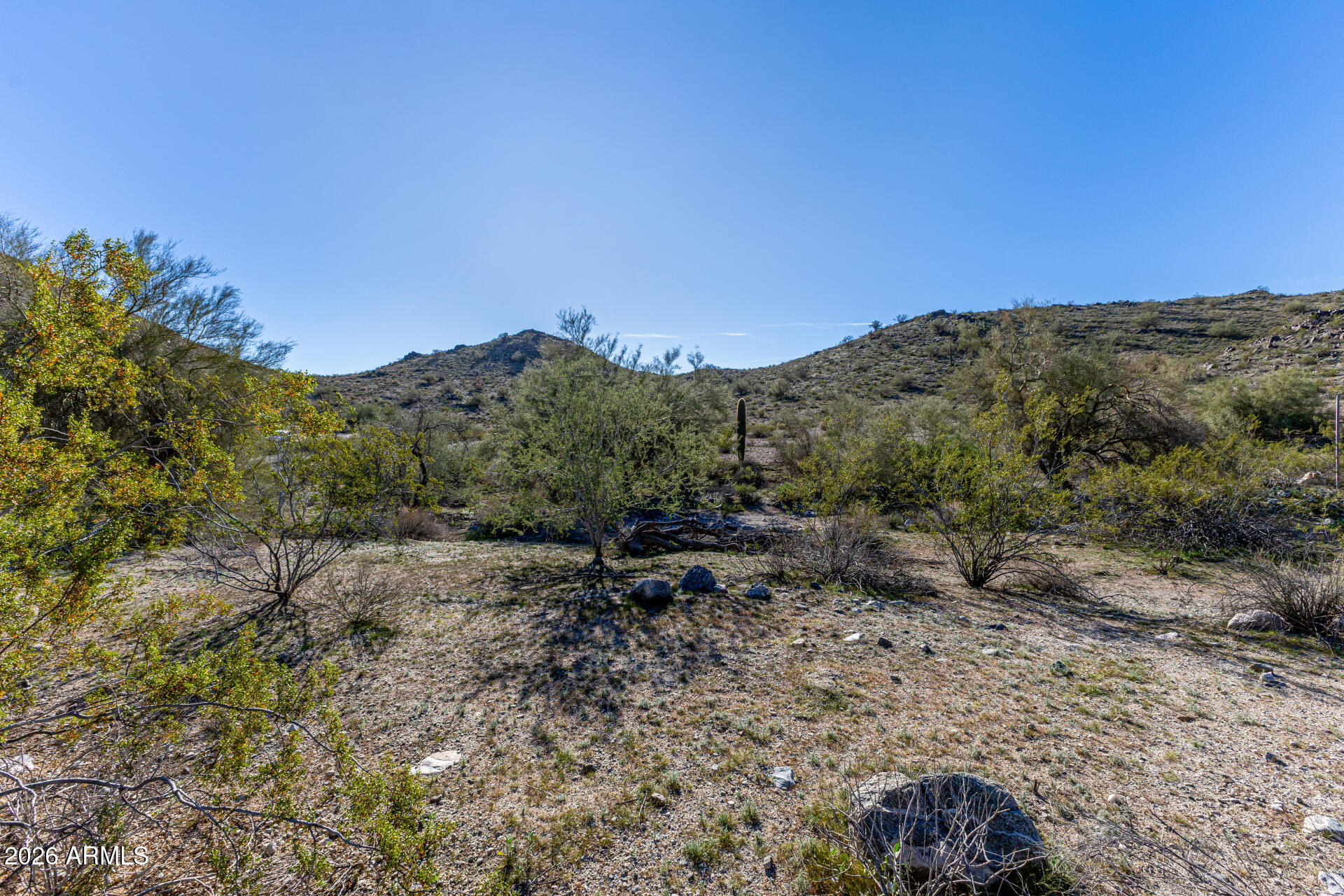 VERRADO PARCEL 5.804 - Land