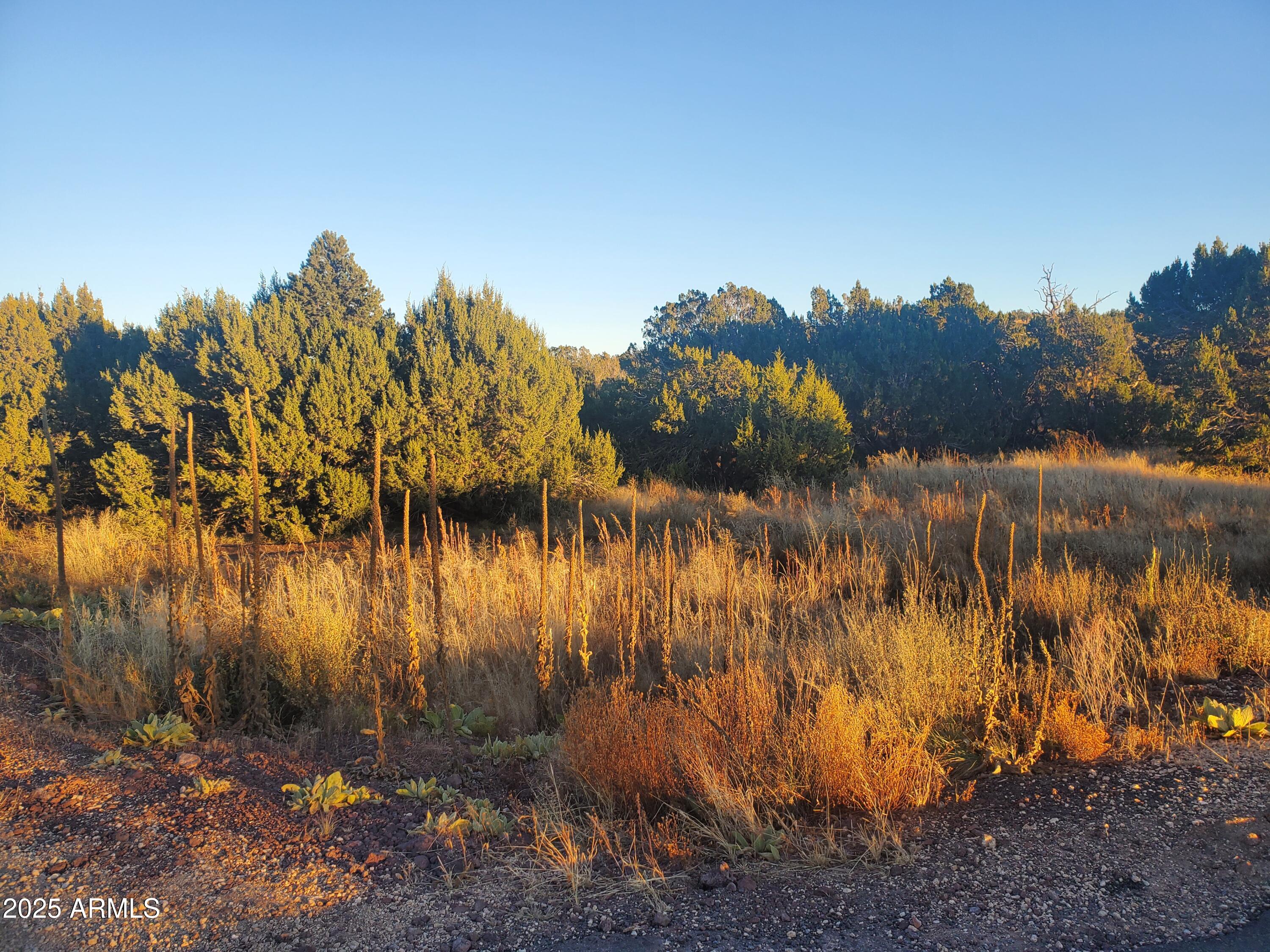 1 COUNTY ROAD N8155 -- -