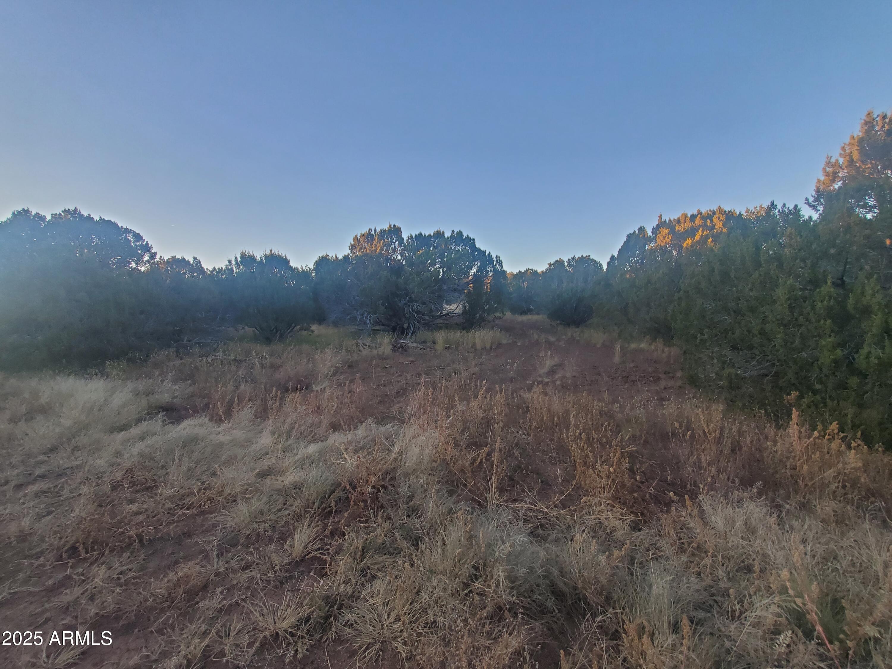 1 COUNTY ROAD N8155 -- -