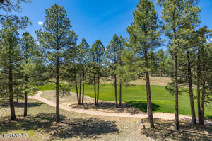Pine Canyon - Residential