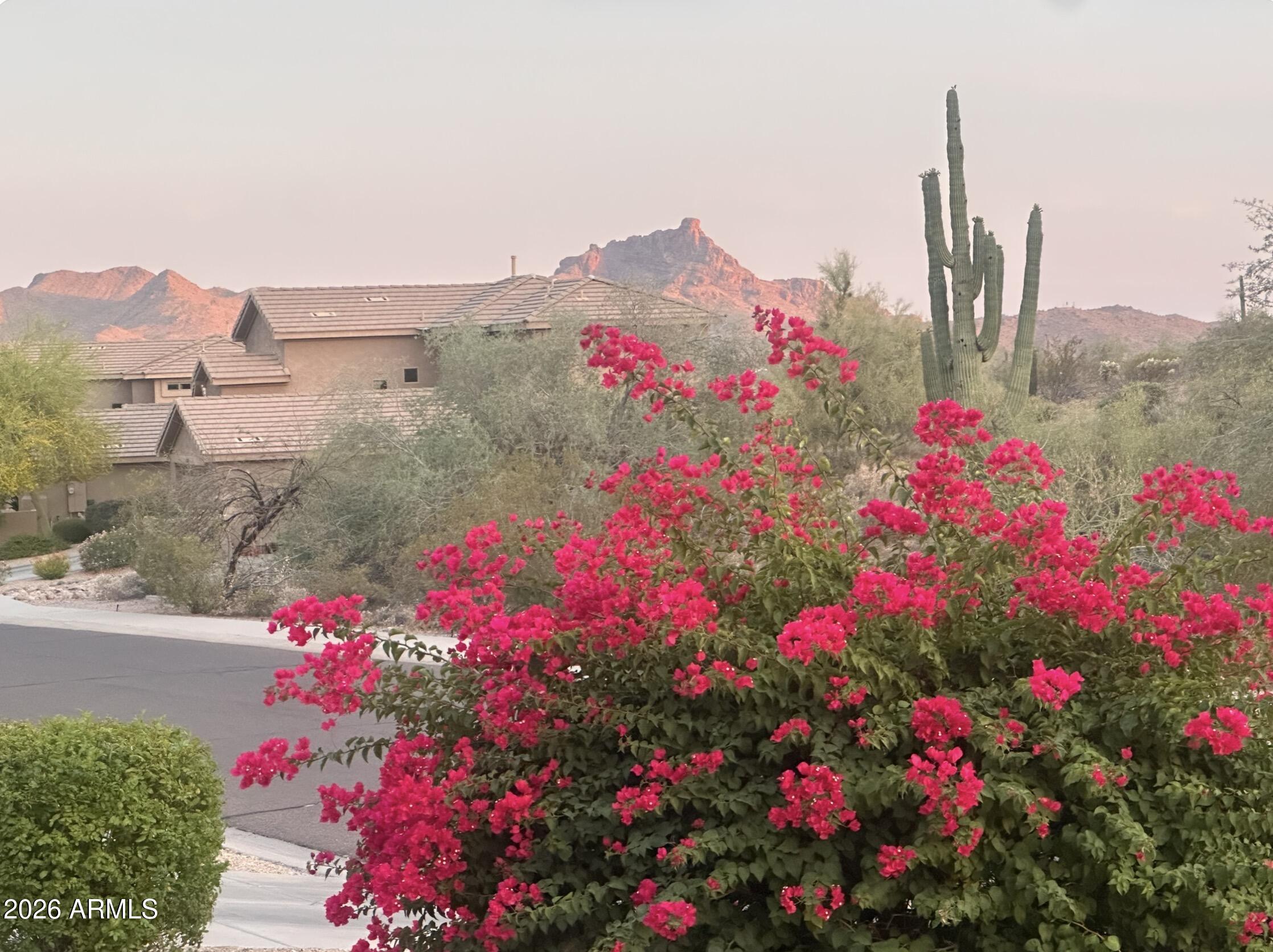 13423 N VISTA DEL LAGO --