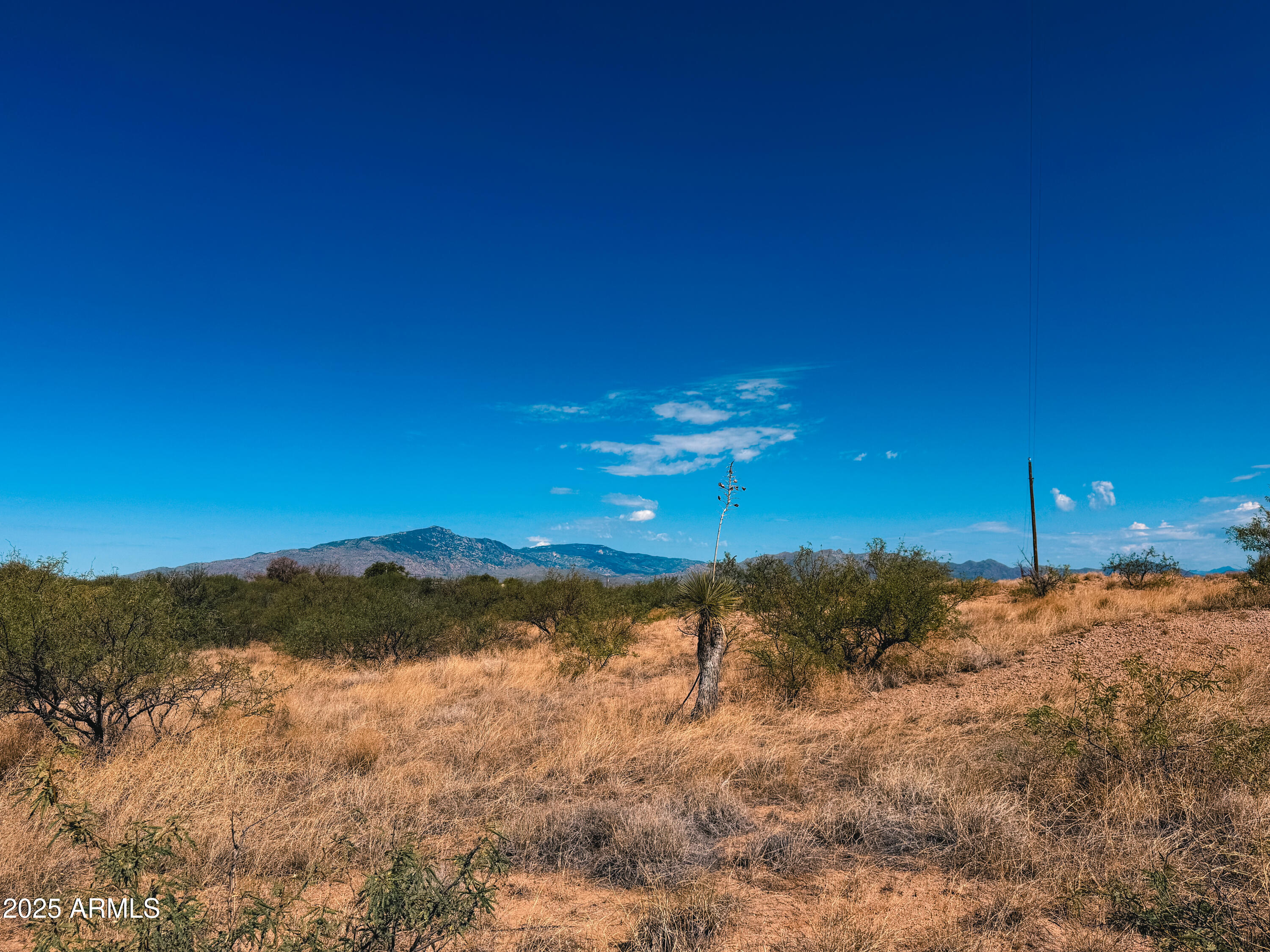 TBD W Skyline Road -