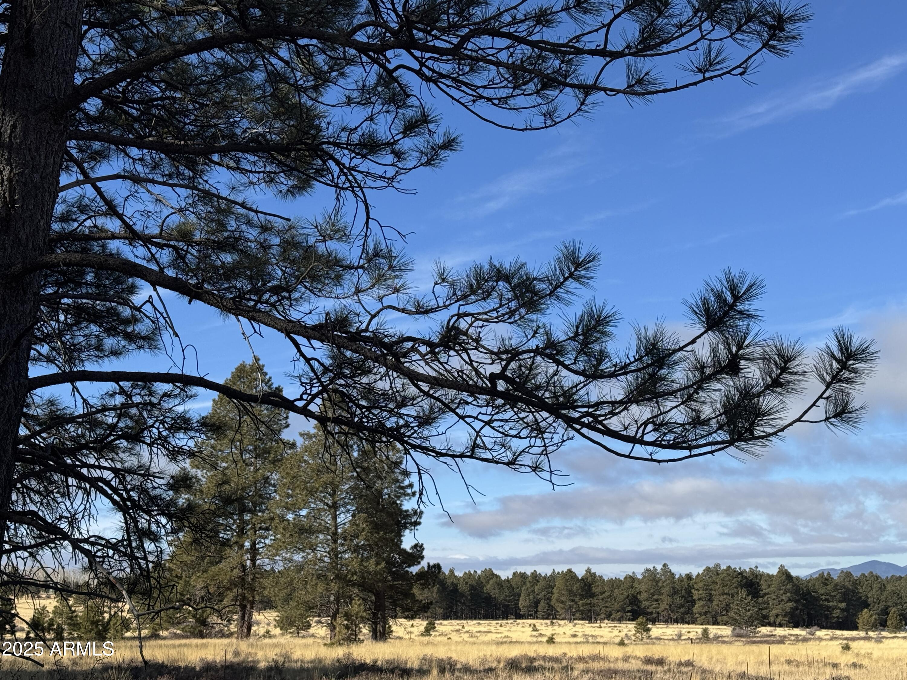 003 Hart Prairie Rd -- -
