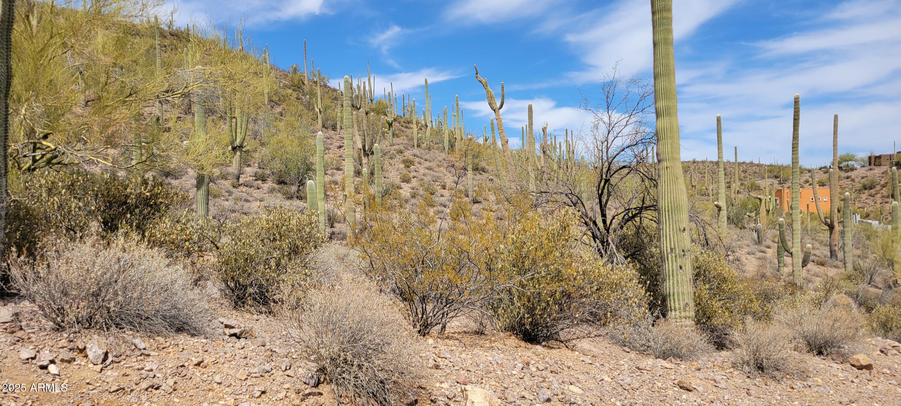 4790 N El Adobe Ranch Road -