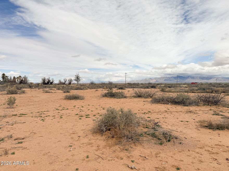 40 acres of relatively flat land with beautiful mountain views and a domestic well. This property gives you lots of room to build, explore and create your own rural escape. Buyer to do all due diligence on utilities and well.