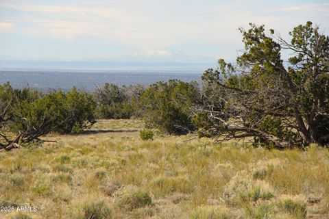 7103 N 7103 Road 75 St Johns AZ 85936