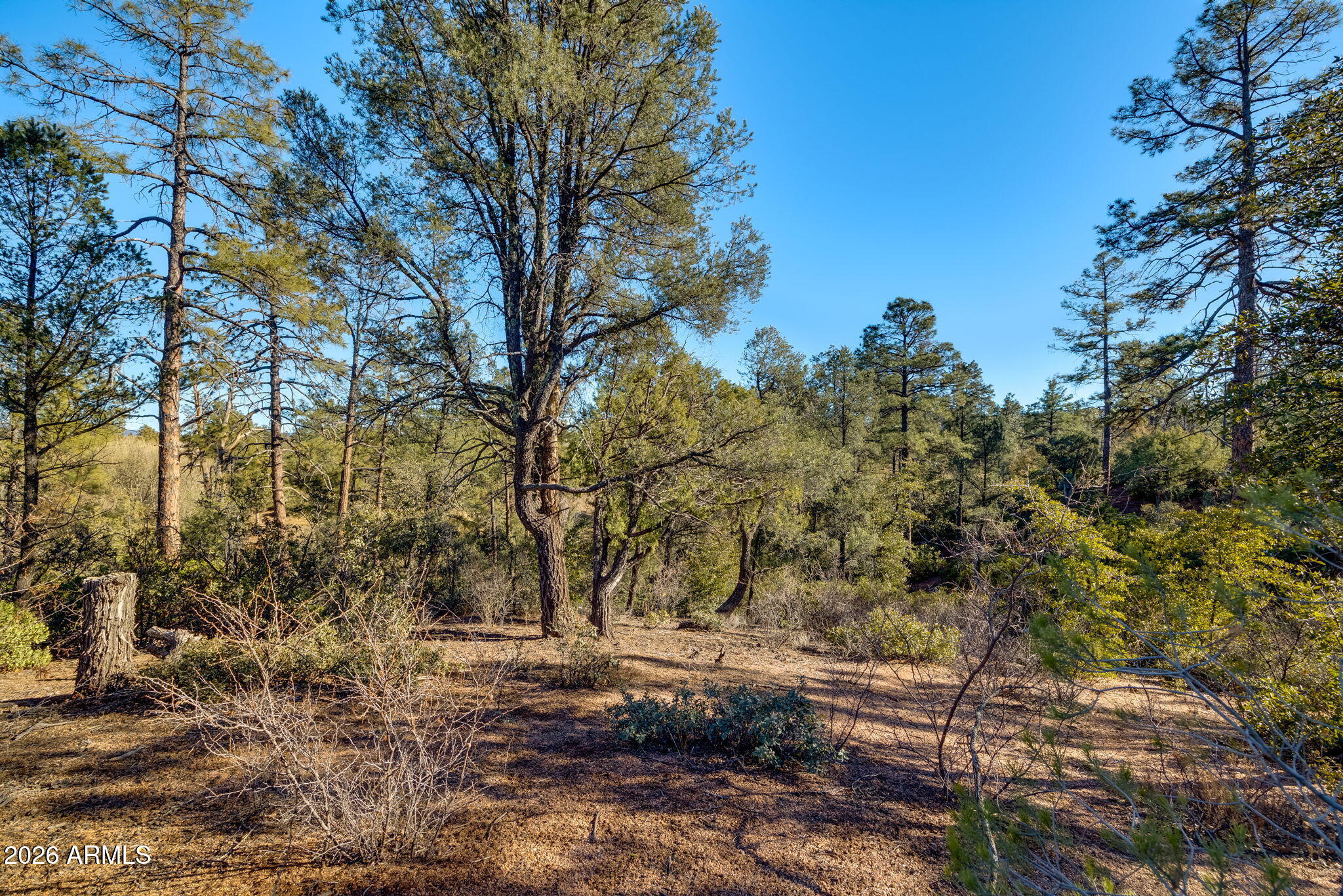 RIM GOLF CLUB PHASE 1 - Land
