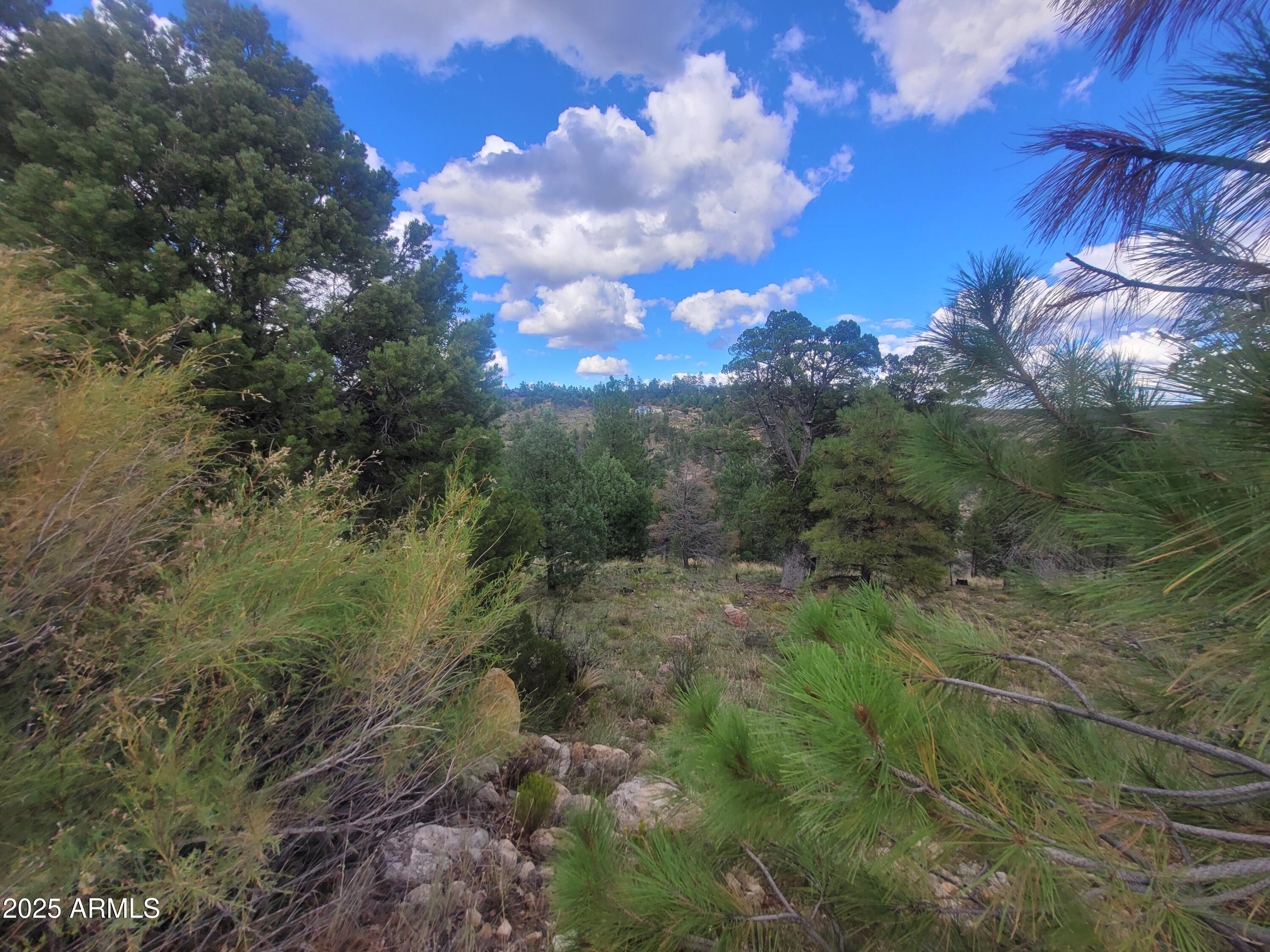 5089 MORNING VIEW Drive 5