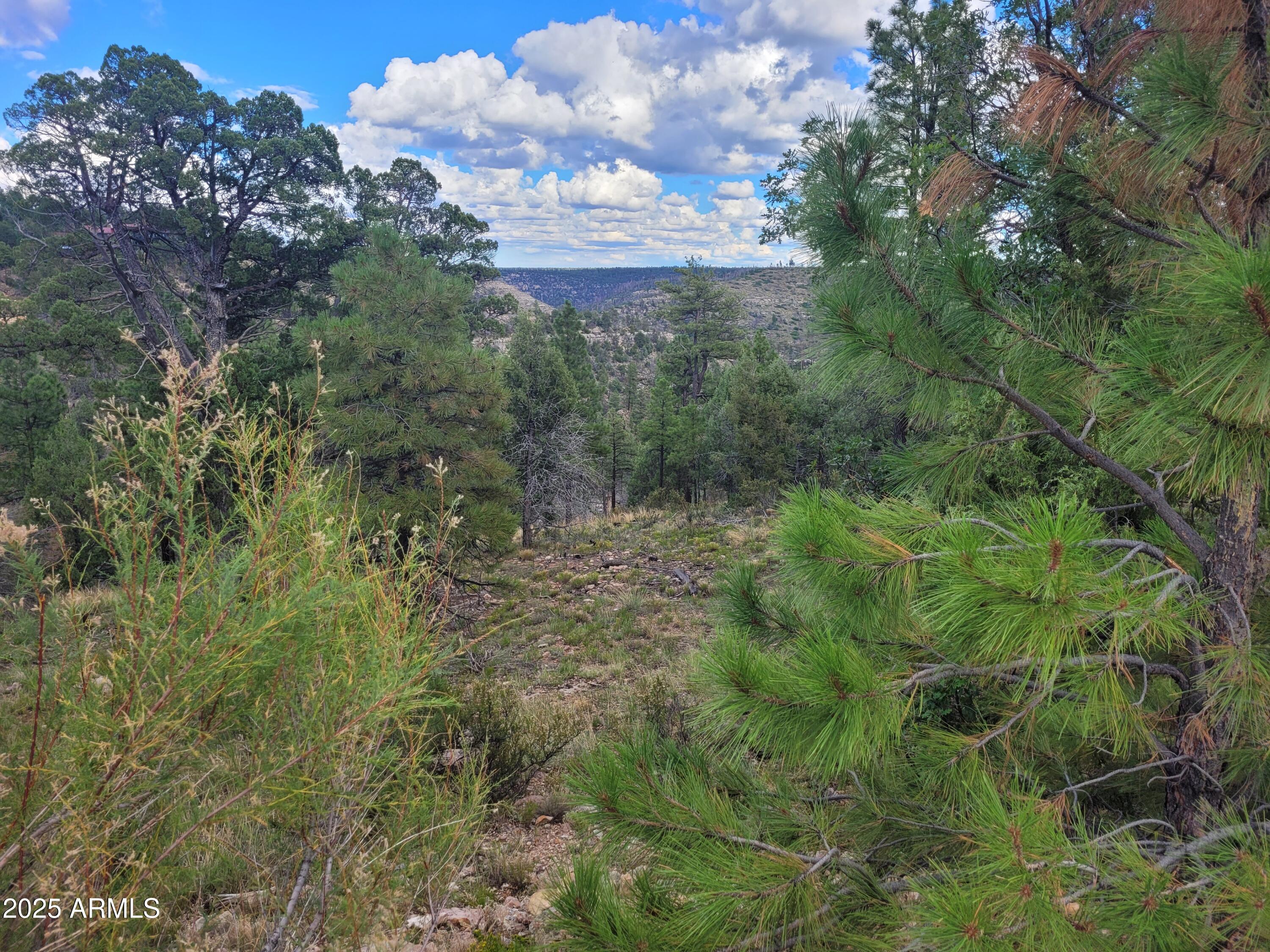 5089 MORNING VIEW Drive 5