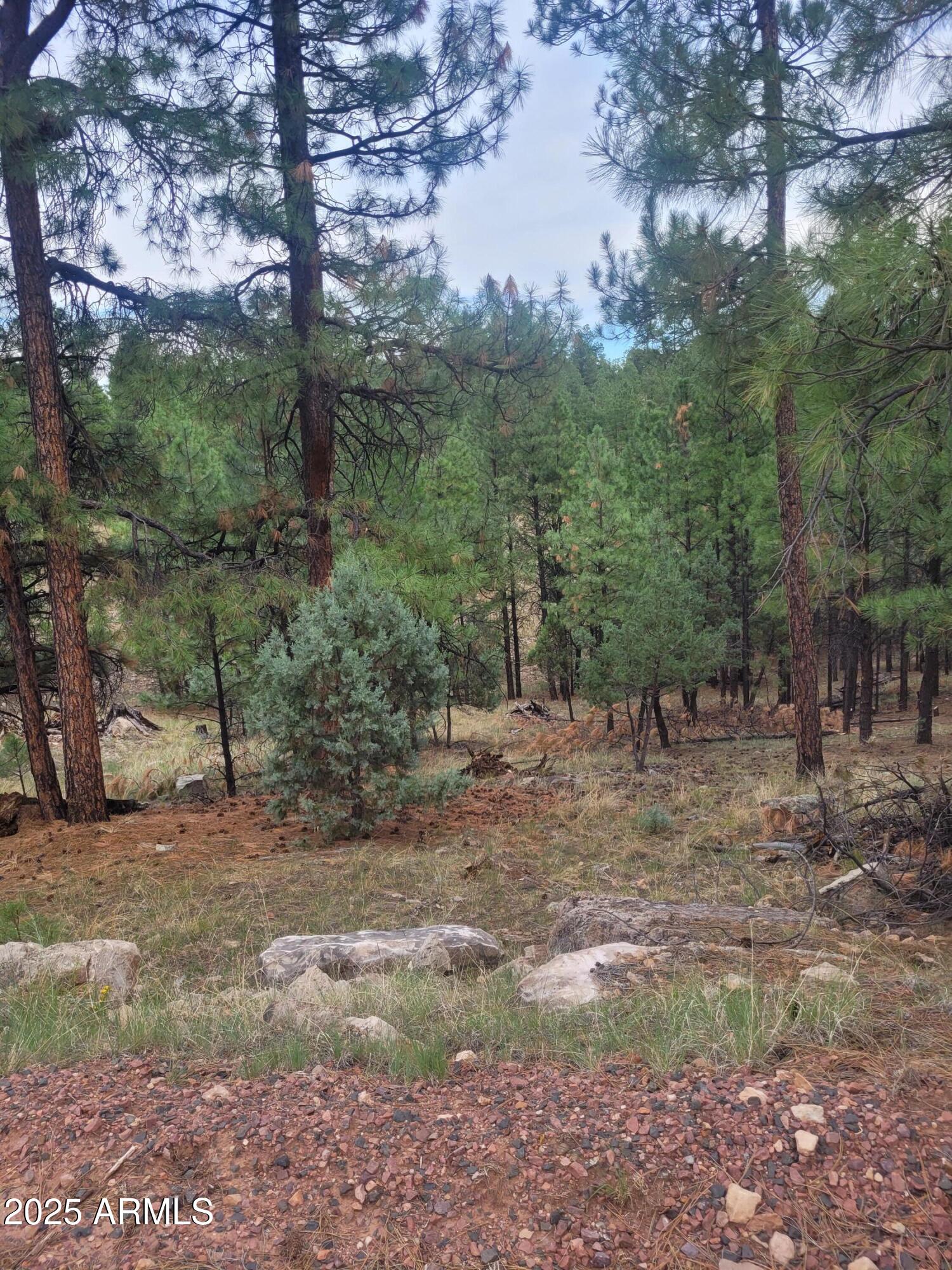 5089 MORNING VIEW Drive 5