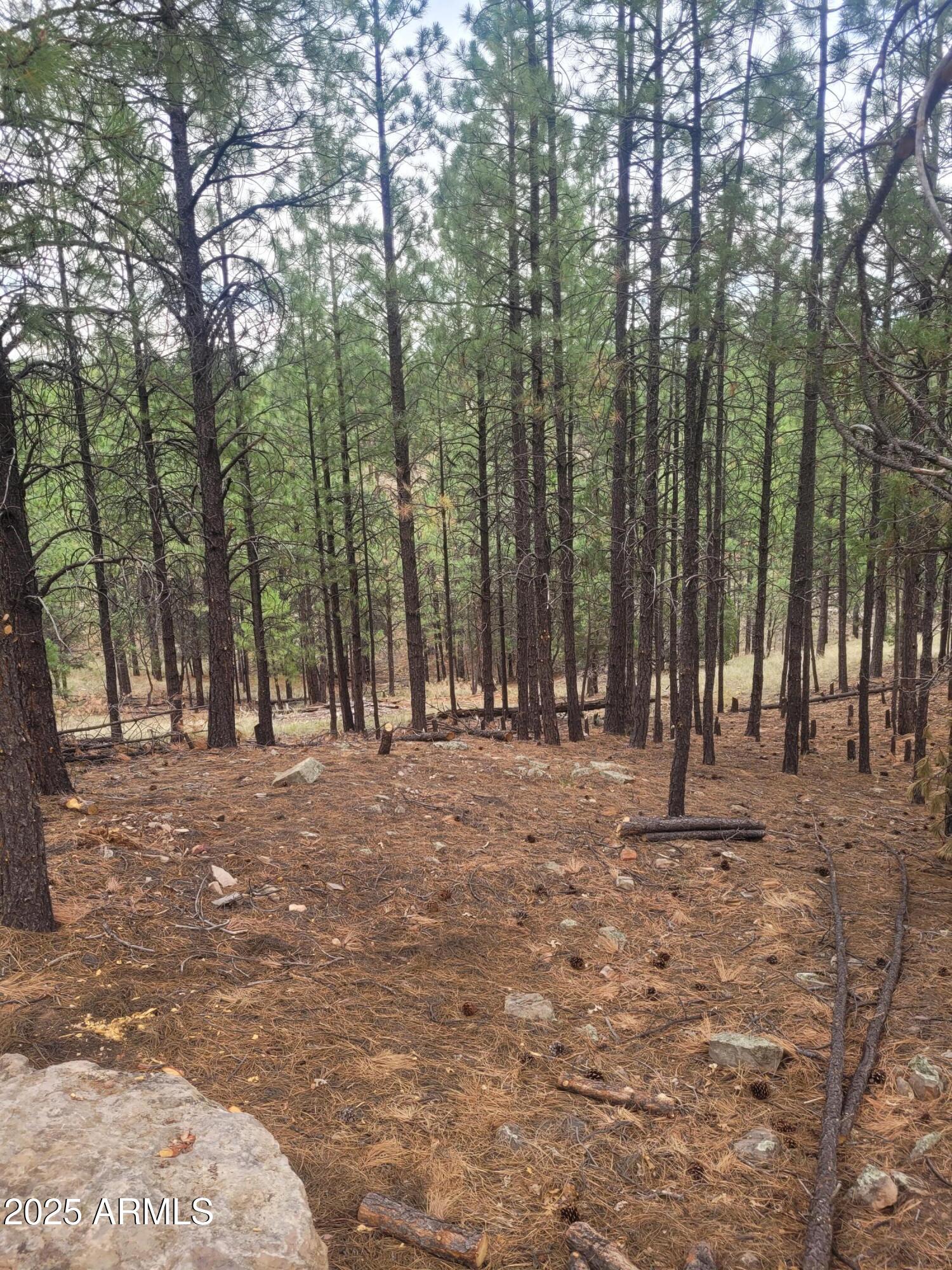5089 MORNING VIEW Drive 5