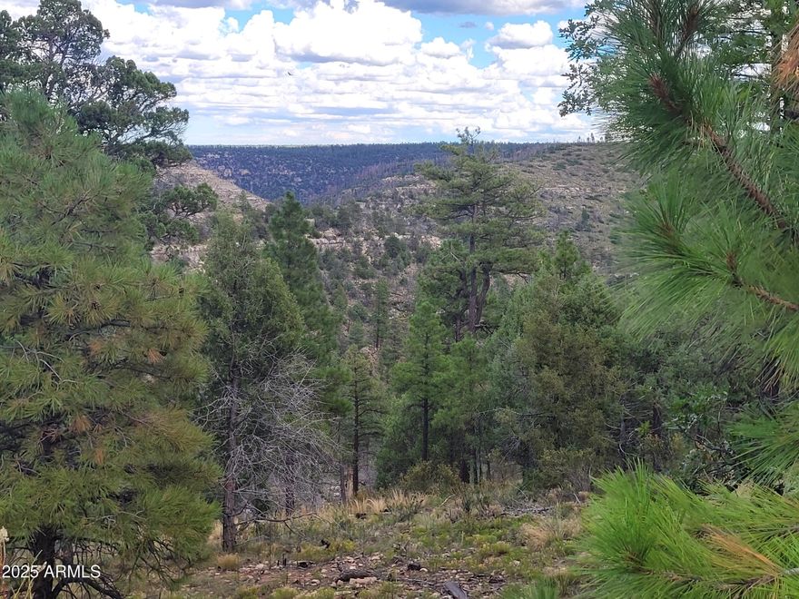 Panoramic view of Canyon. Rare 4.187 acre parcel of land in the gated community of Starlight Pines Ranchettes, Happy Jack, Az.  Located in a cul-de-sac for
lots of privacy! You can hear the wind blow thru the trees. Mature Ponderosa Pines, Gambel Oak trees are on this hillside lot.
It has several nice possible building sites.
It slopes down to a wash.  Wildlife love to home and feed here. Desert big horn sheep are frequently seen on this lot!  can mountain bike, hike, take long walks and more. Clear Creek Canyon is nearby for fishing and picnics!  This is a site build only community. Bring your Horse/horses! this is an equestrian friendly development. The water meter is on the property. Electricity is available.  You need to walk the property to fully appreciate it.