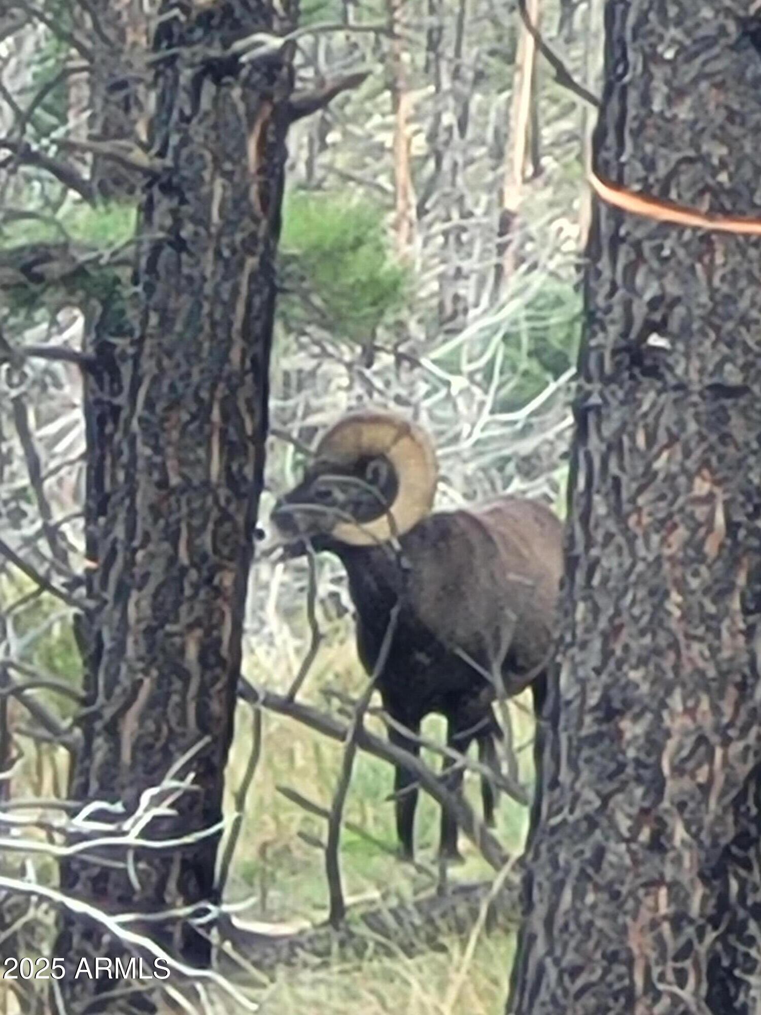 5089 MORNING VIEW Drive 5