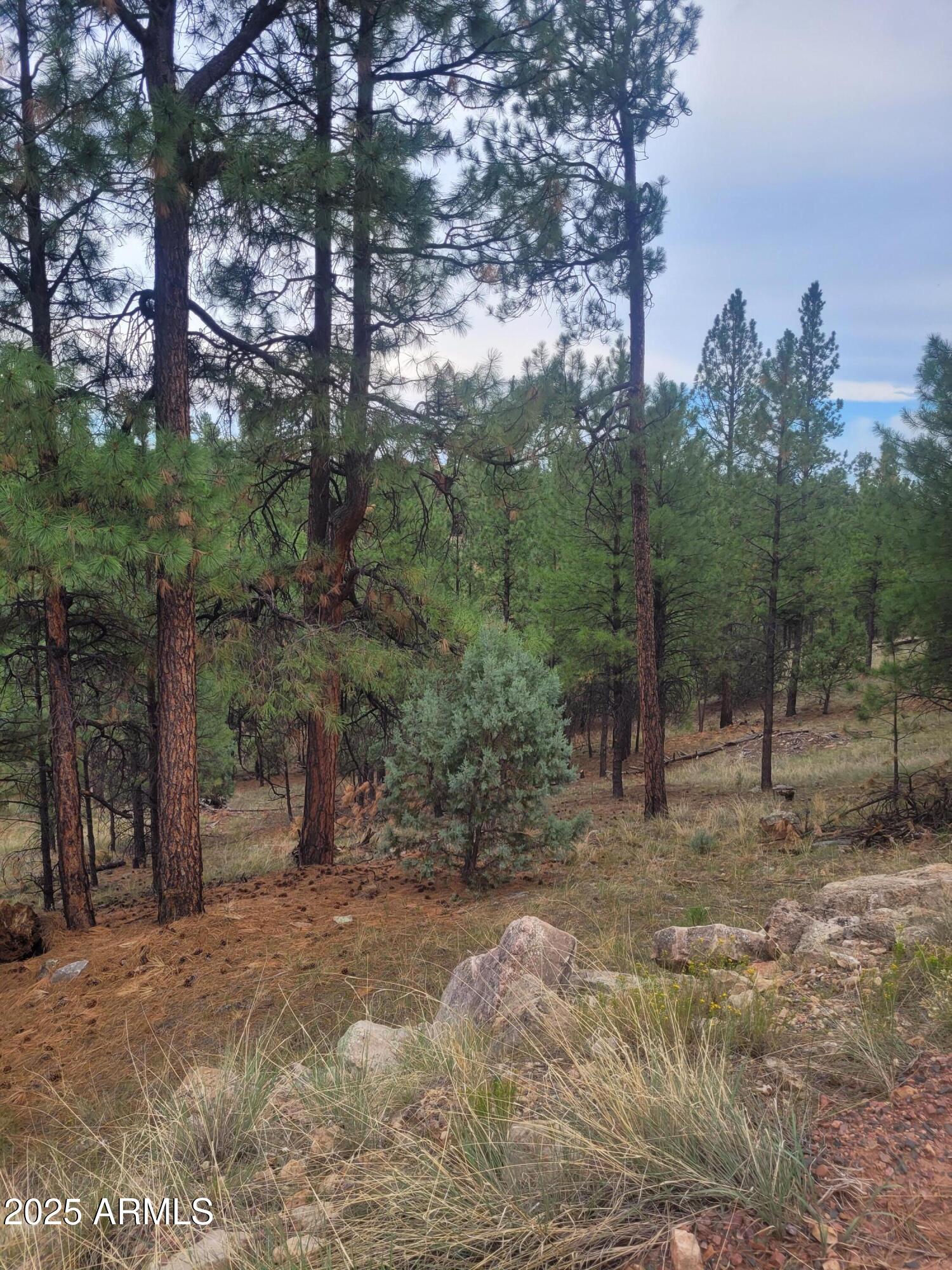 5089 MORNING VIEW Drive 5