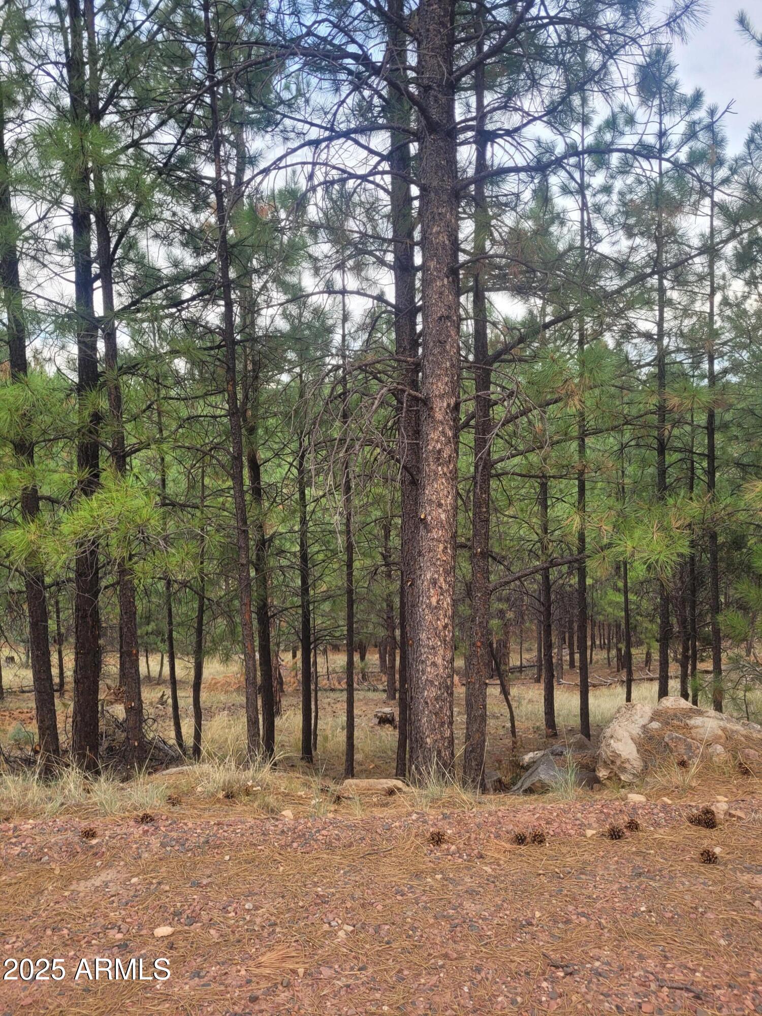 5089 MORNING VIEW Drive 5