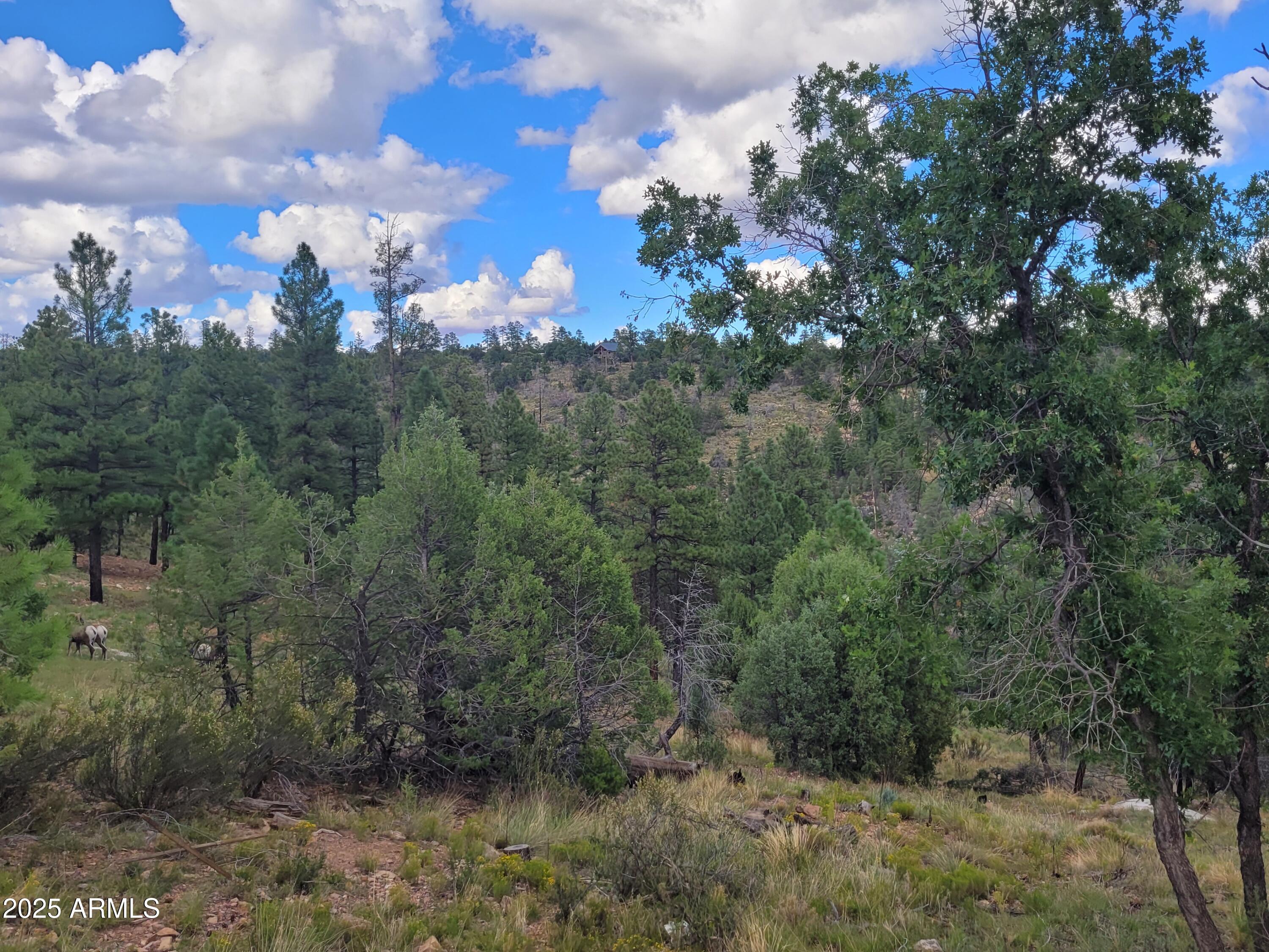 5089 MORNING VIEW Drive 5