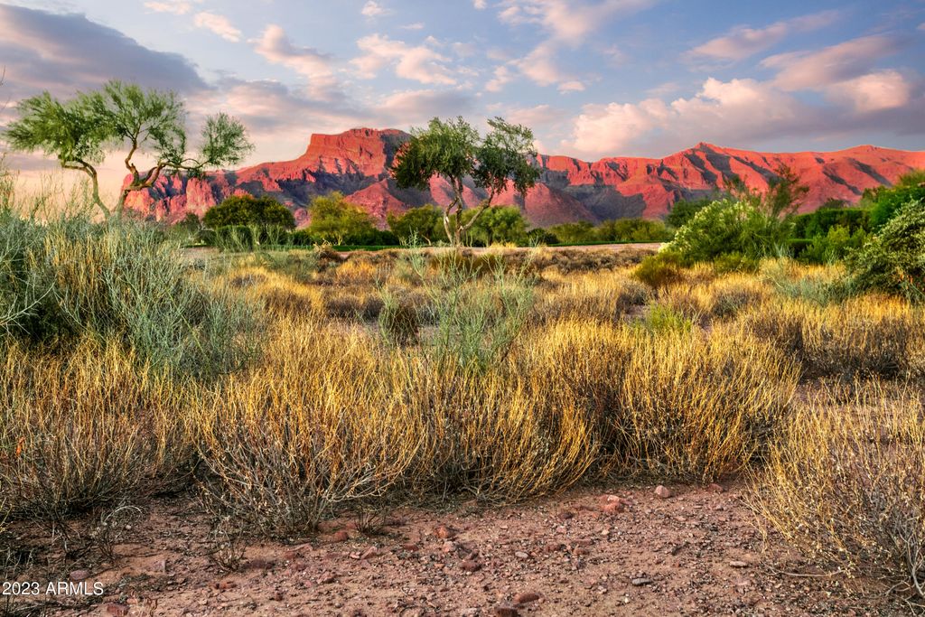 Photo of 7274 E Wilderness Trail #15, Gold Canyon, AZ 85118 (MLS # 6629754)