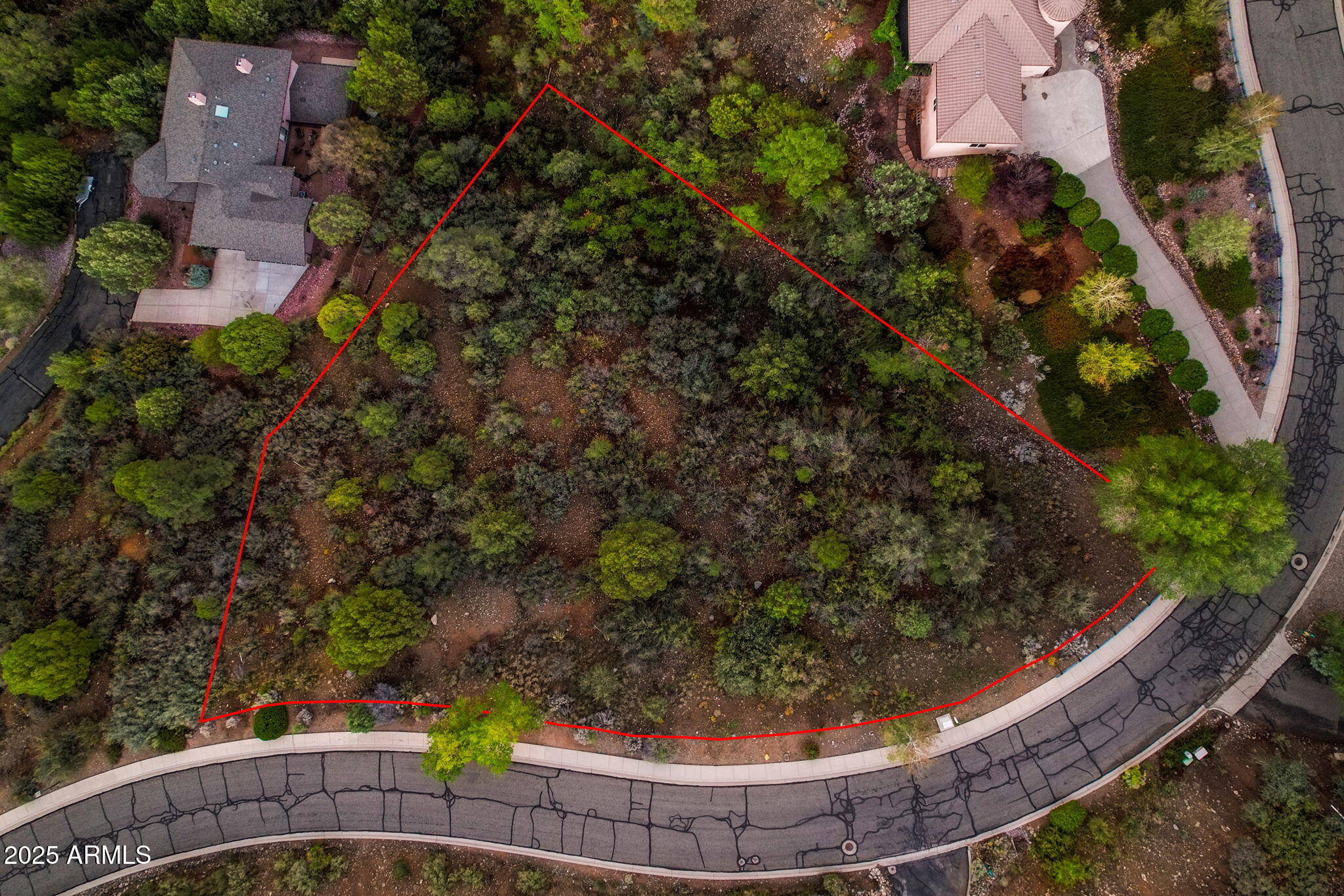 846 City Lights Lights