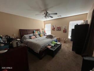 41228 W LITTLE Drive