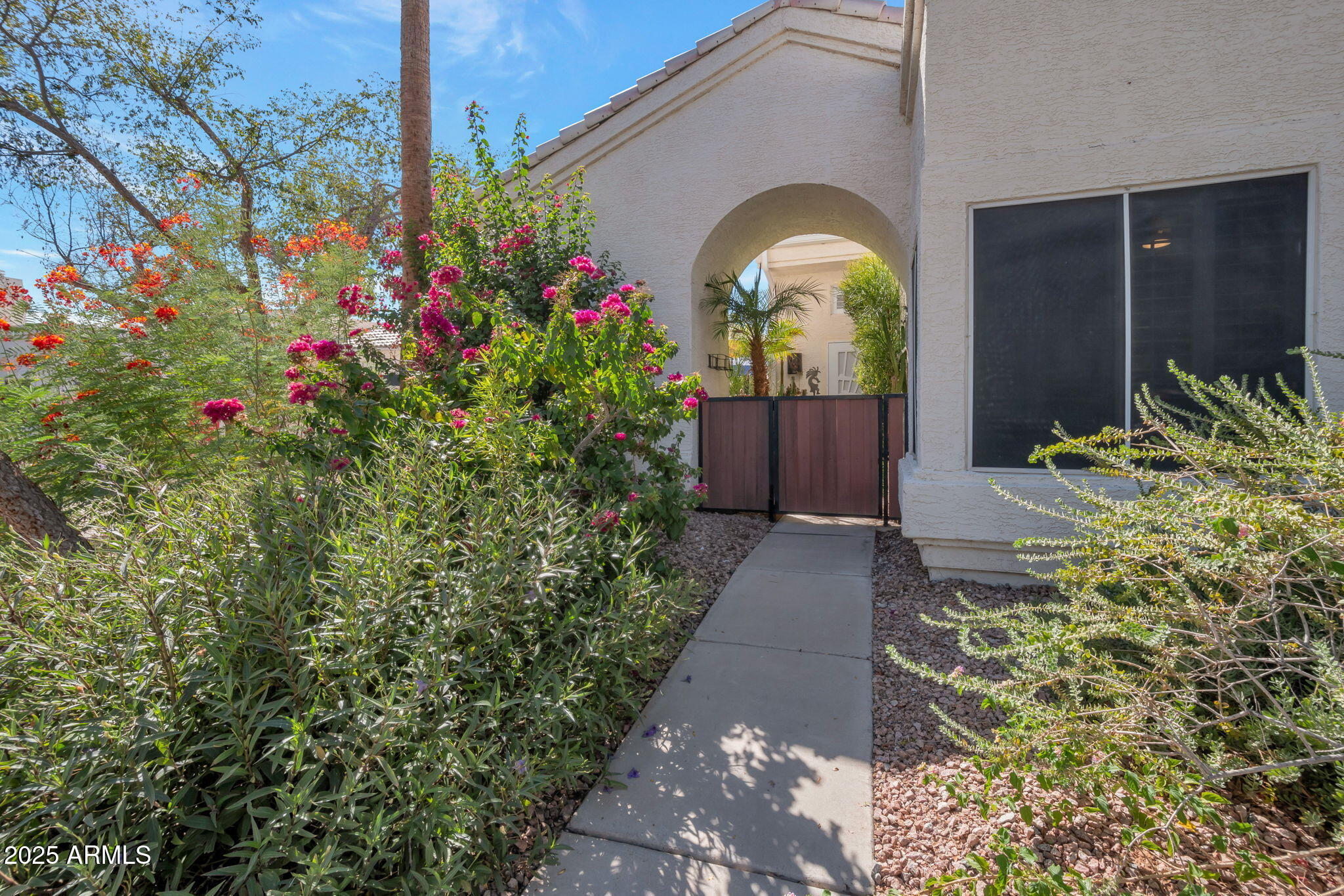 2100 W LEMON TREE Place 68