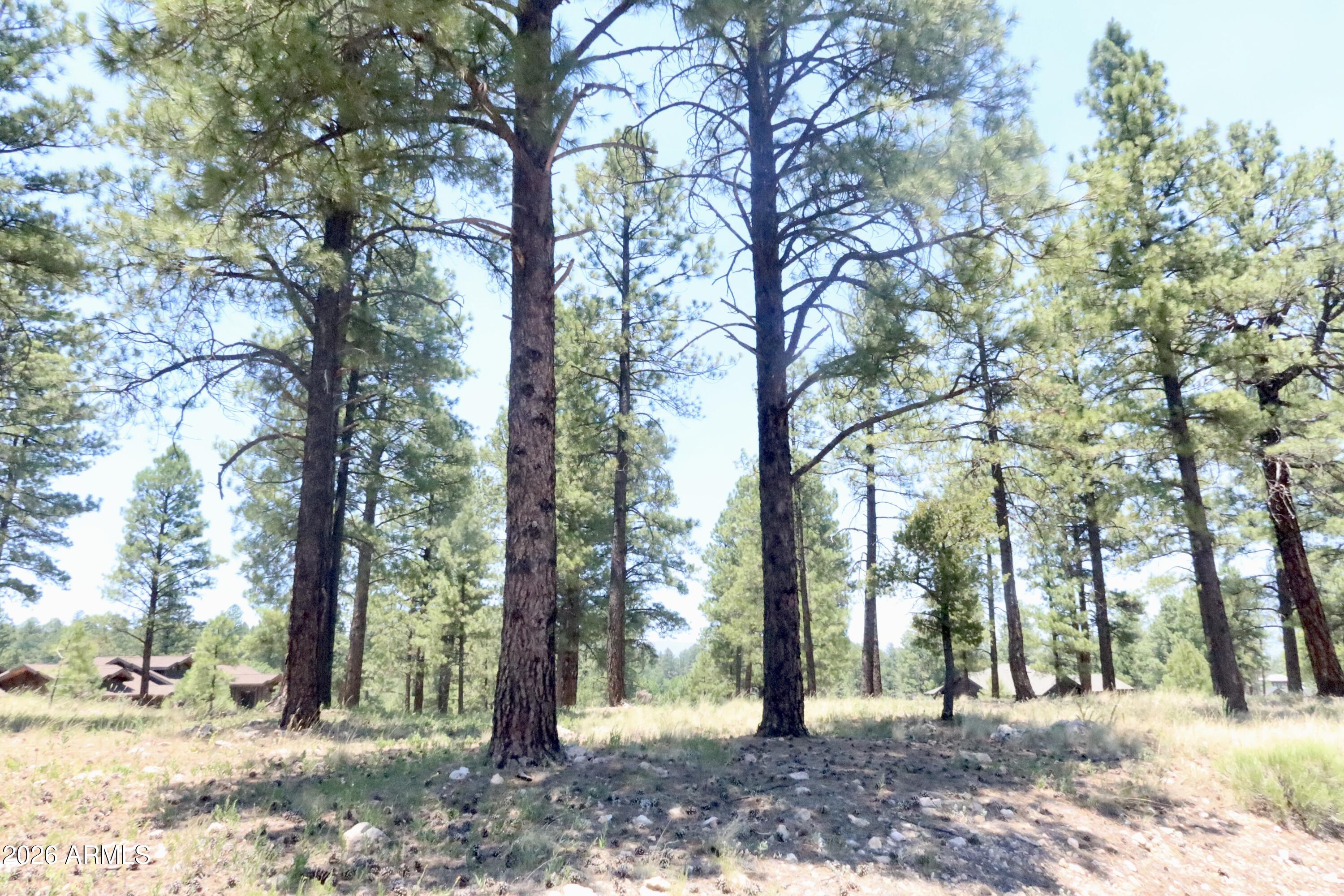 3235 S Tehama Circle 105-10-066