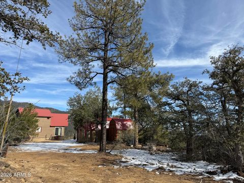 6698 E SPRUCE Drive Crown King AZ 86343