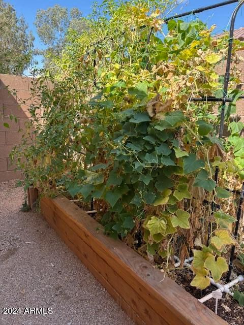 A home in Queen Creek