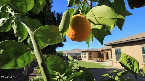 A home in Gilbert