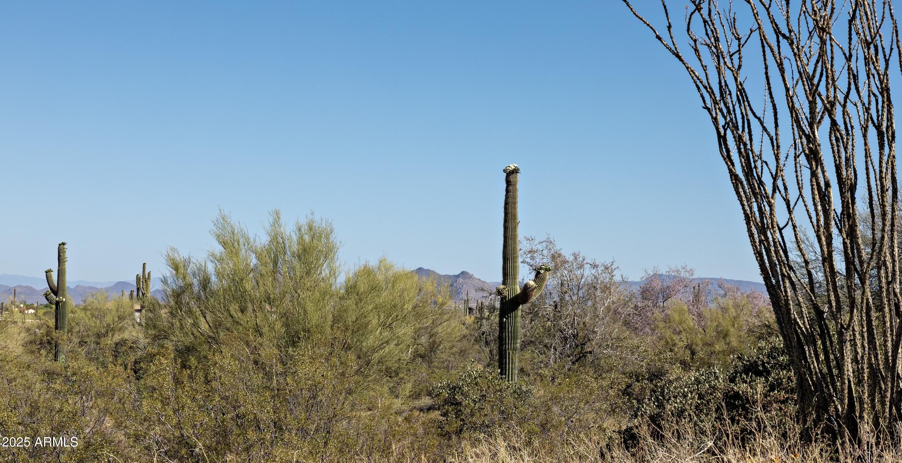 Scottsdale, Arizona 85262, United States, ,Land,Pending,138485