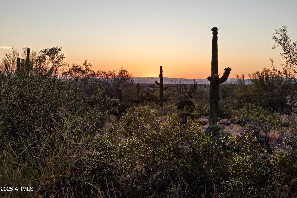 Photo of 27042 N 95th Street #4, Scottsdale, AZ 85262 (MLS # 6870772)