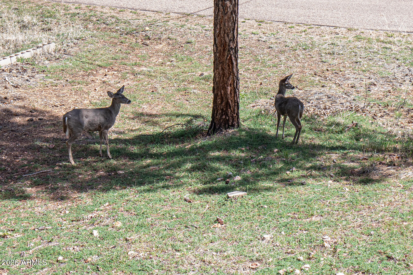 Strawberry Mtn Shd 2 - Residential